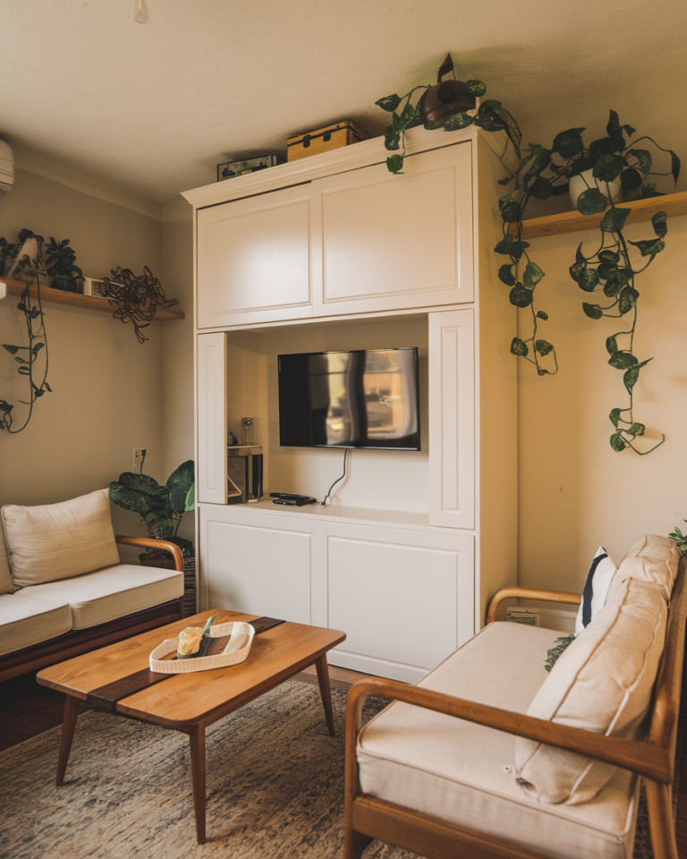 View of 29 Small Living Room Ideas and Designs - GoTinySpace