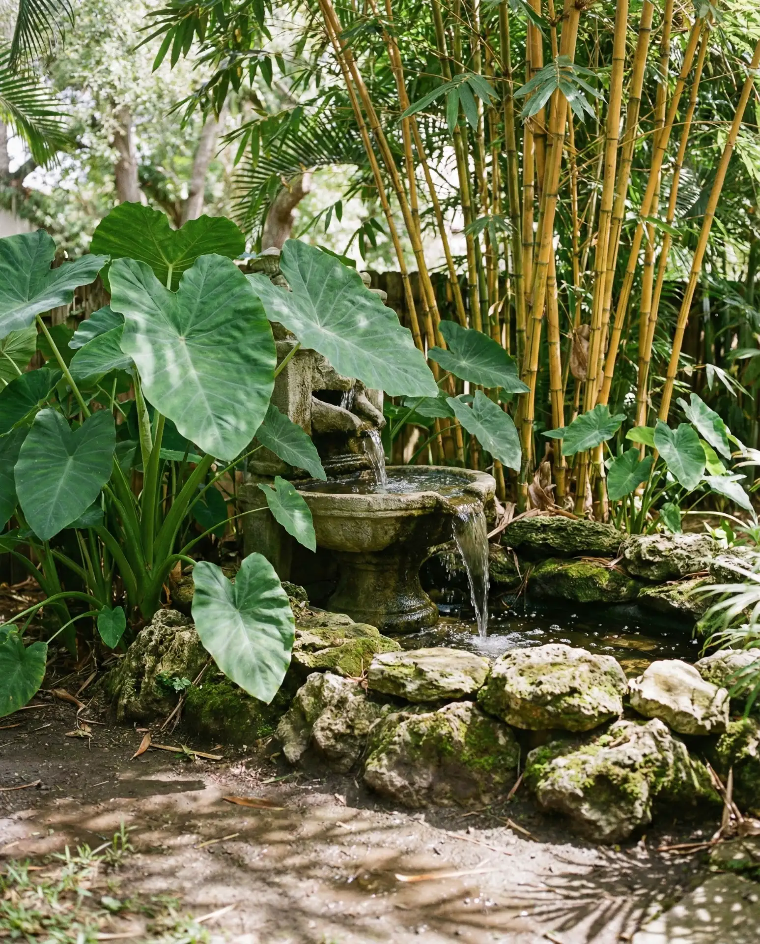 Balinese-Inspired Water Feature Corner 2