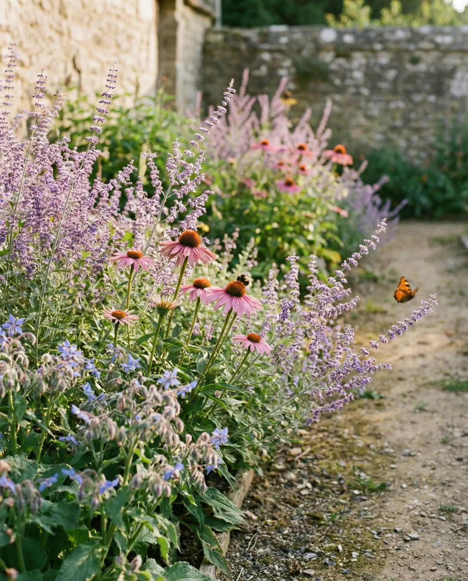 Bee and Butterfly Synergy Garden 1