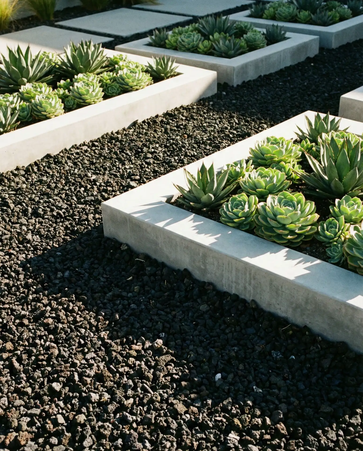 Black Lava Rock Modern Garden 2