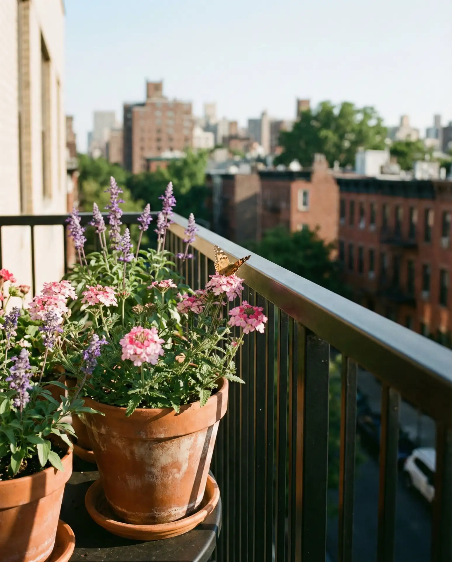 Compact Balcony Container Garden 1