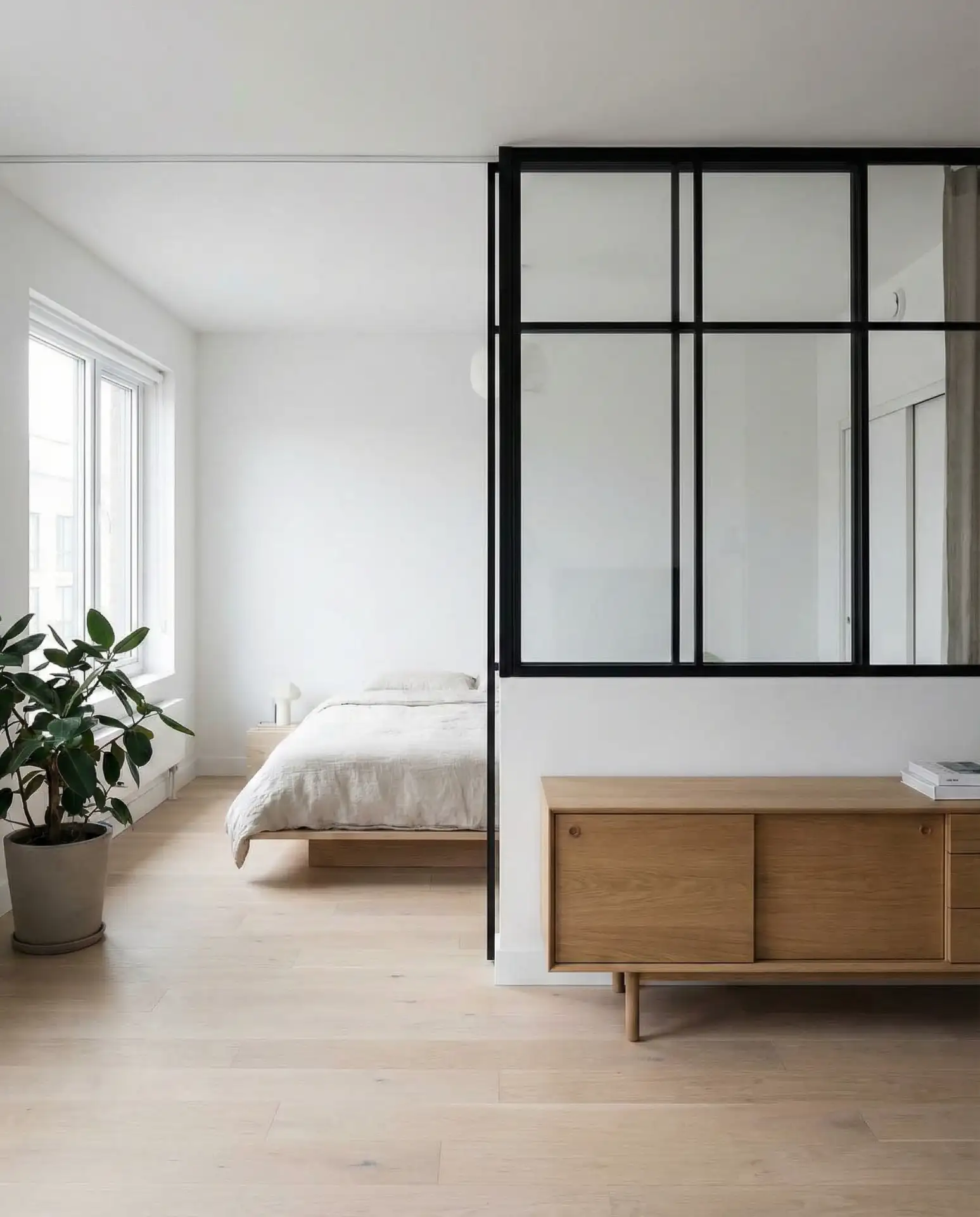 Contemporary 2-Room Apartment with Glass Partitions 2