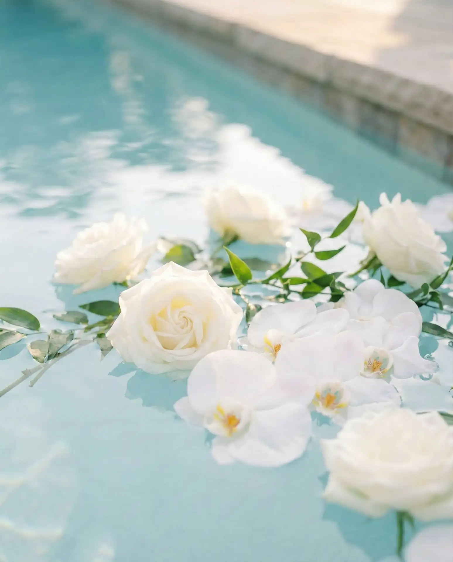 Floating Flower Arrangements 1