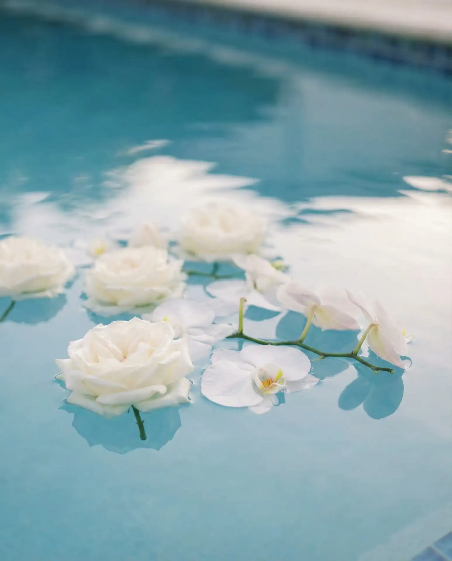 Floating Flower Arrangements 2