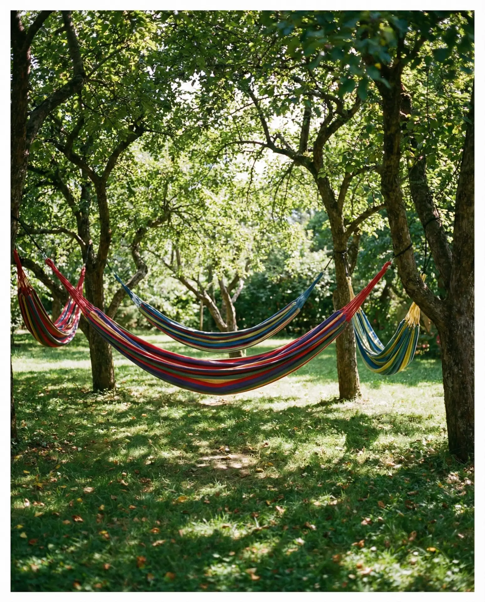 Hammock Garden with Shade Trees 1