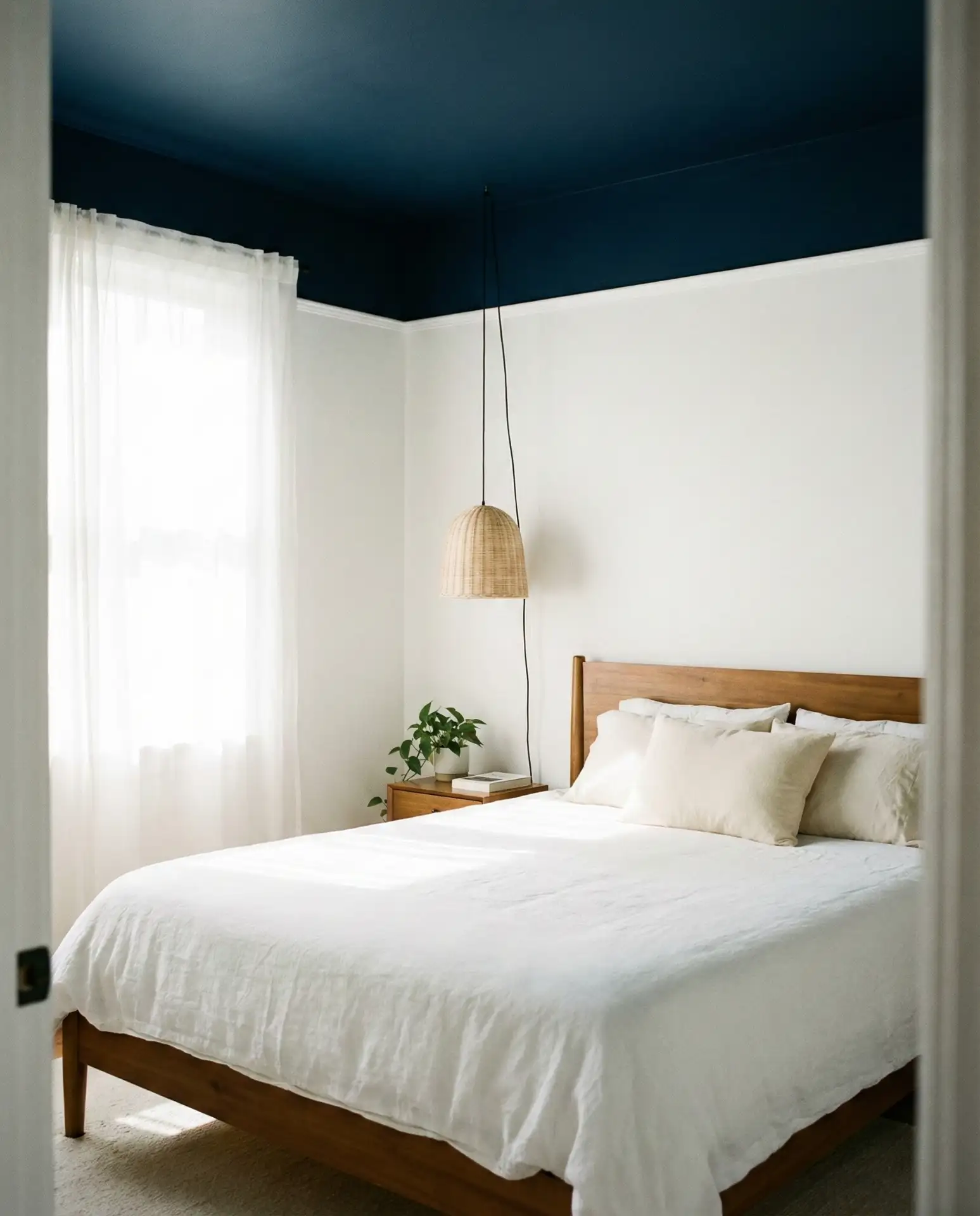 Midnight Blue Ceiling with White Walls 2