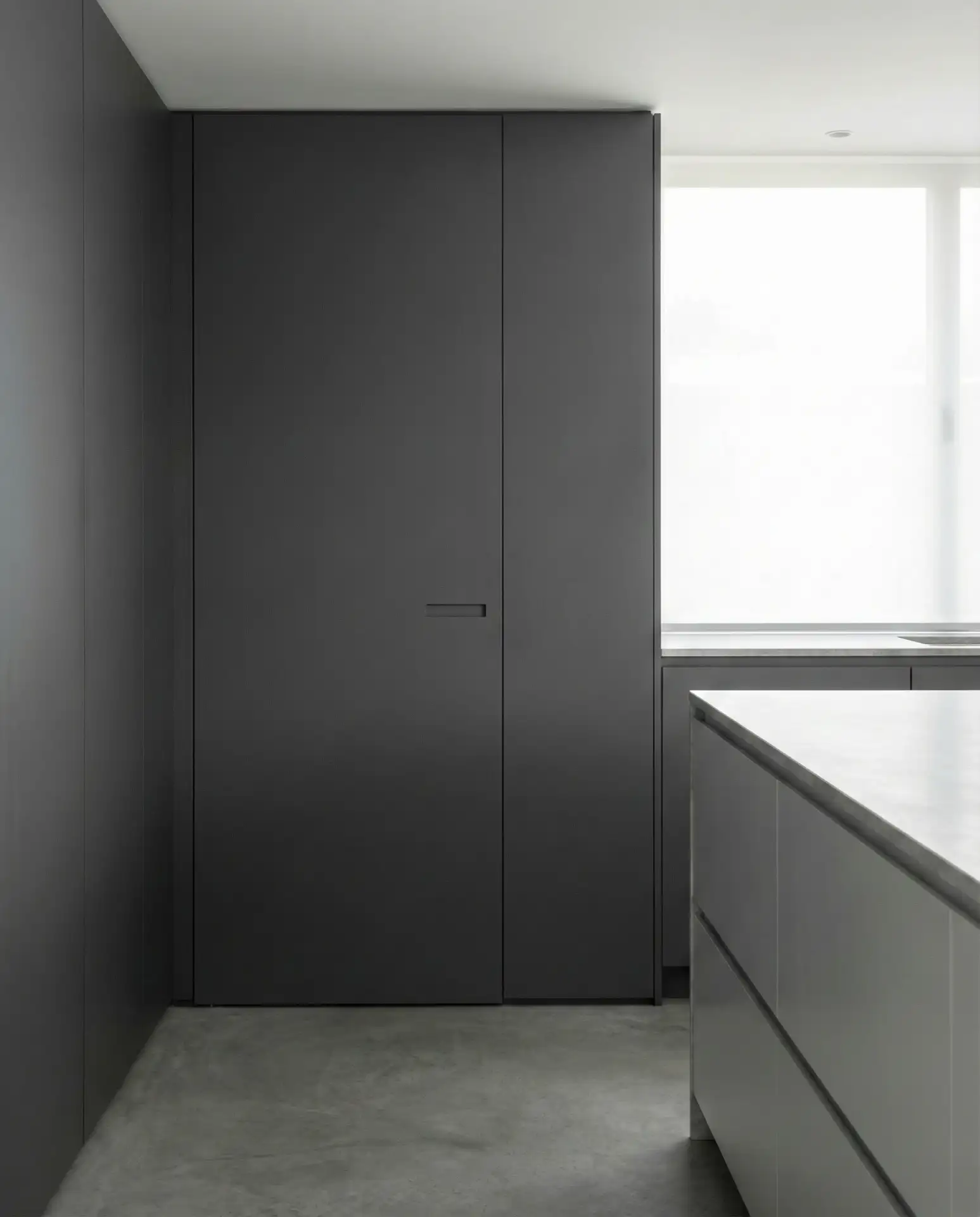 Minimalist Flat Panel Pantry Door 1