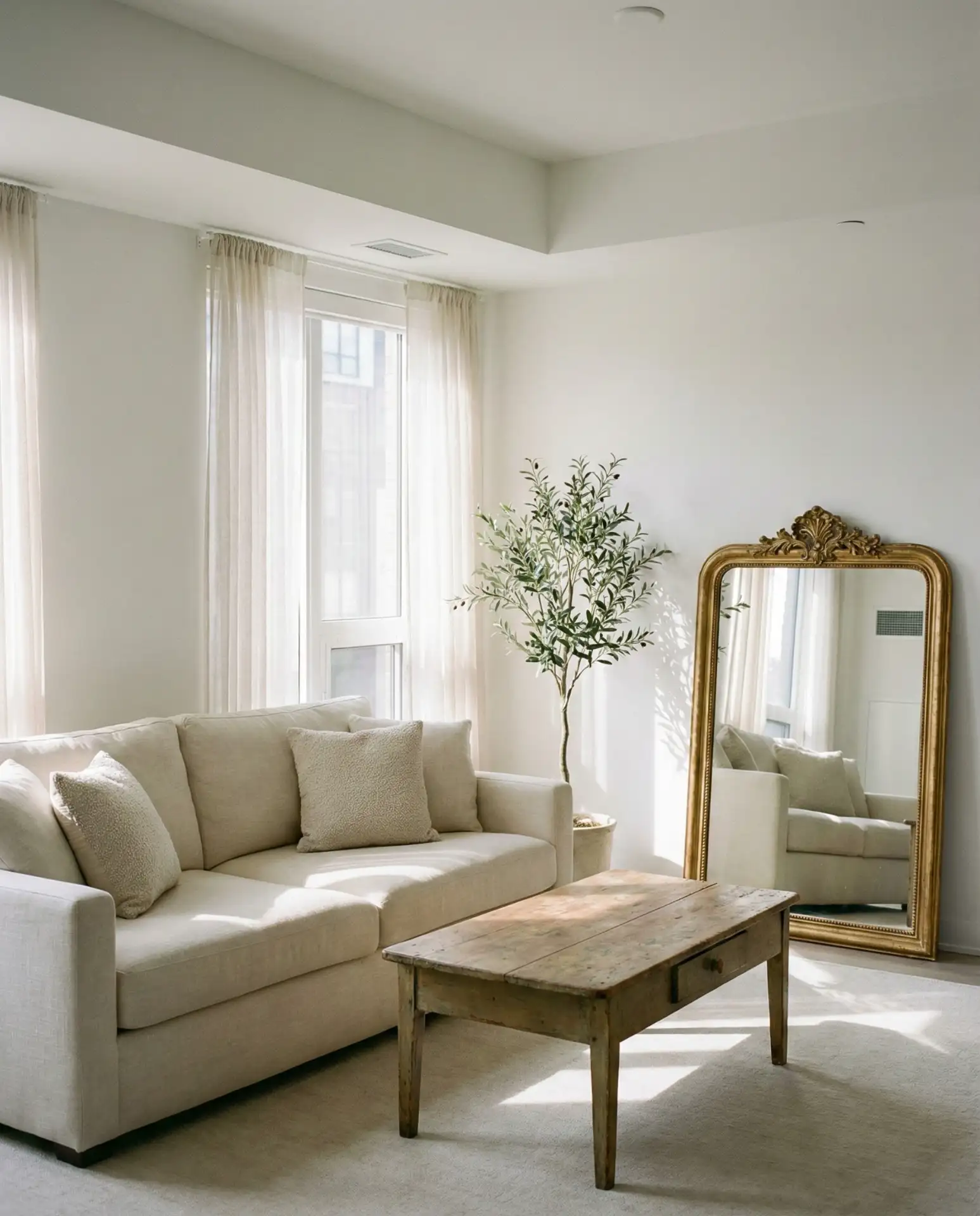 Modern French Country Apartment Living 1