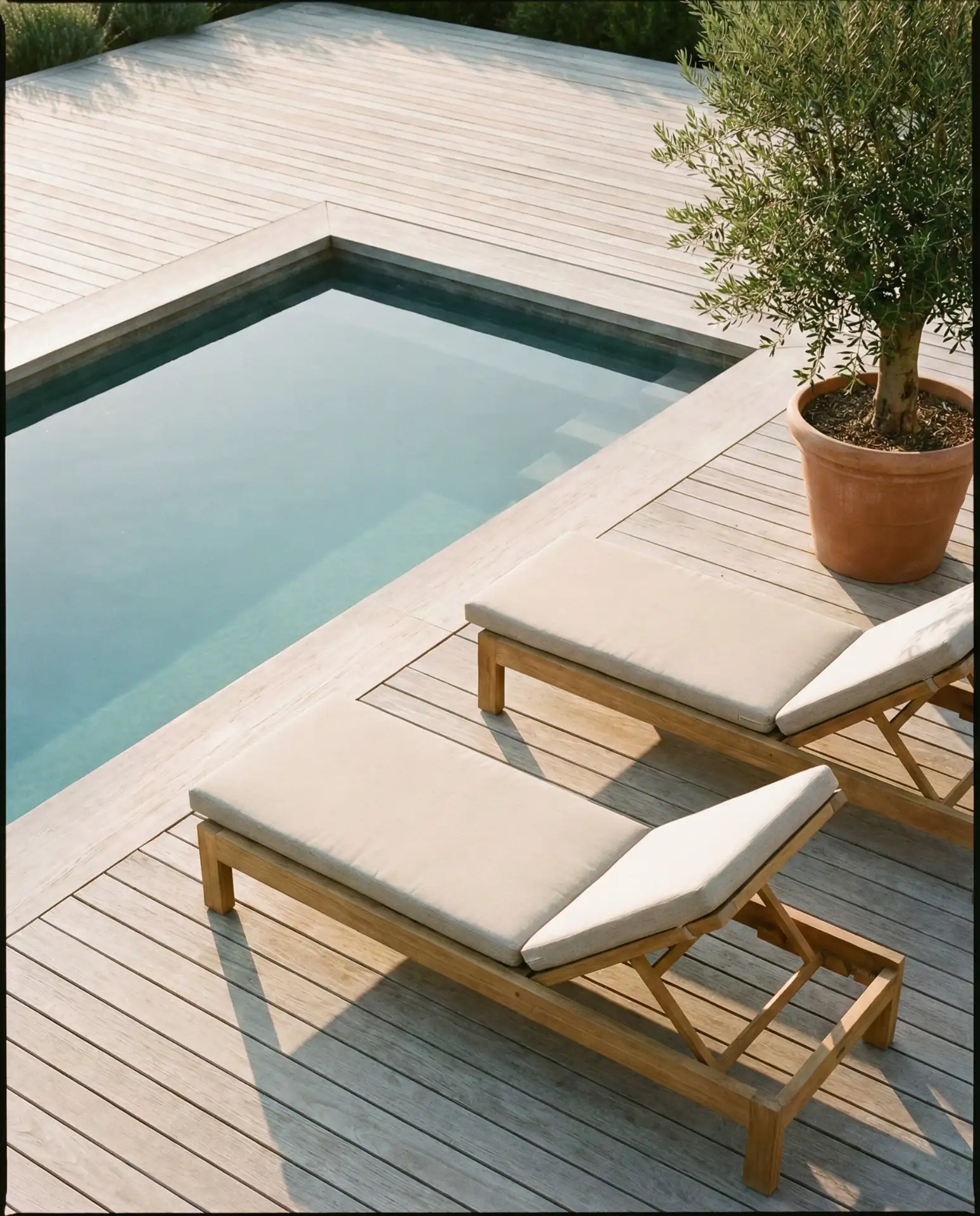 Sleek-Rectangular-Plunge-Pool-with-Minimalist-Deck 2