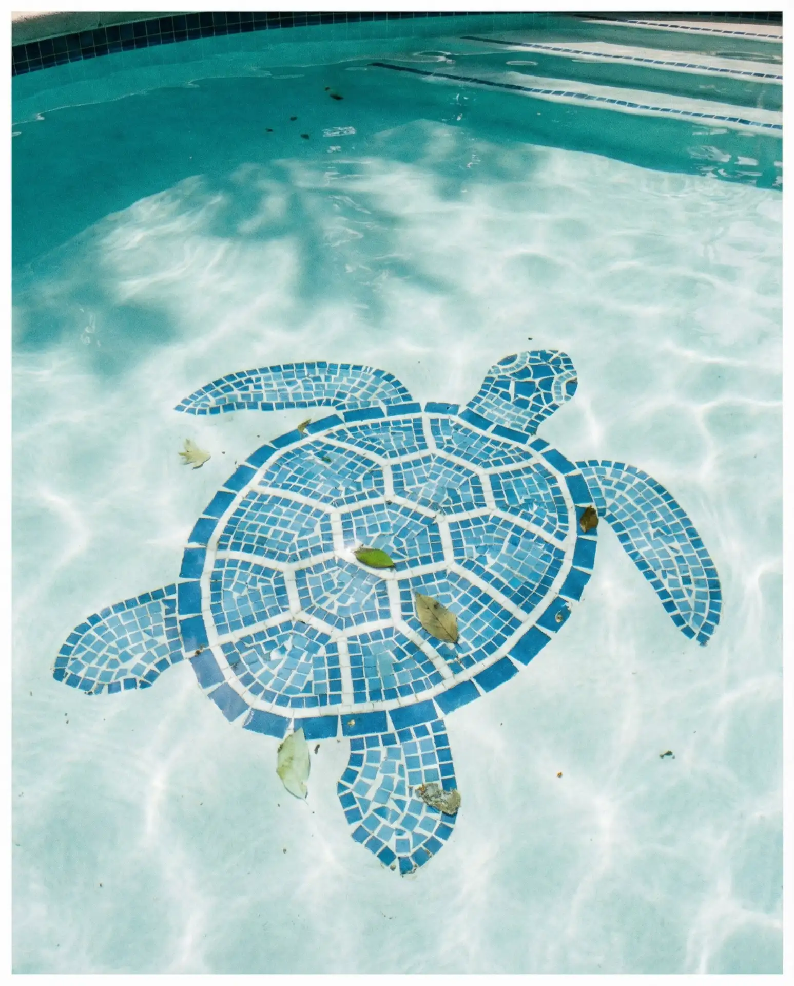 Submerged Mosaic Art Installations 2