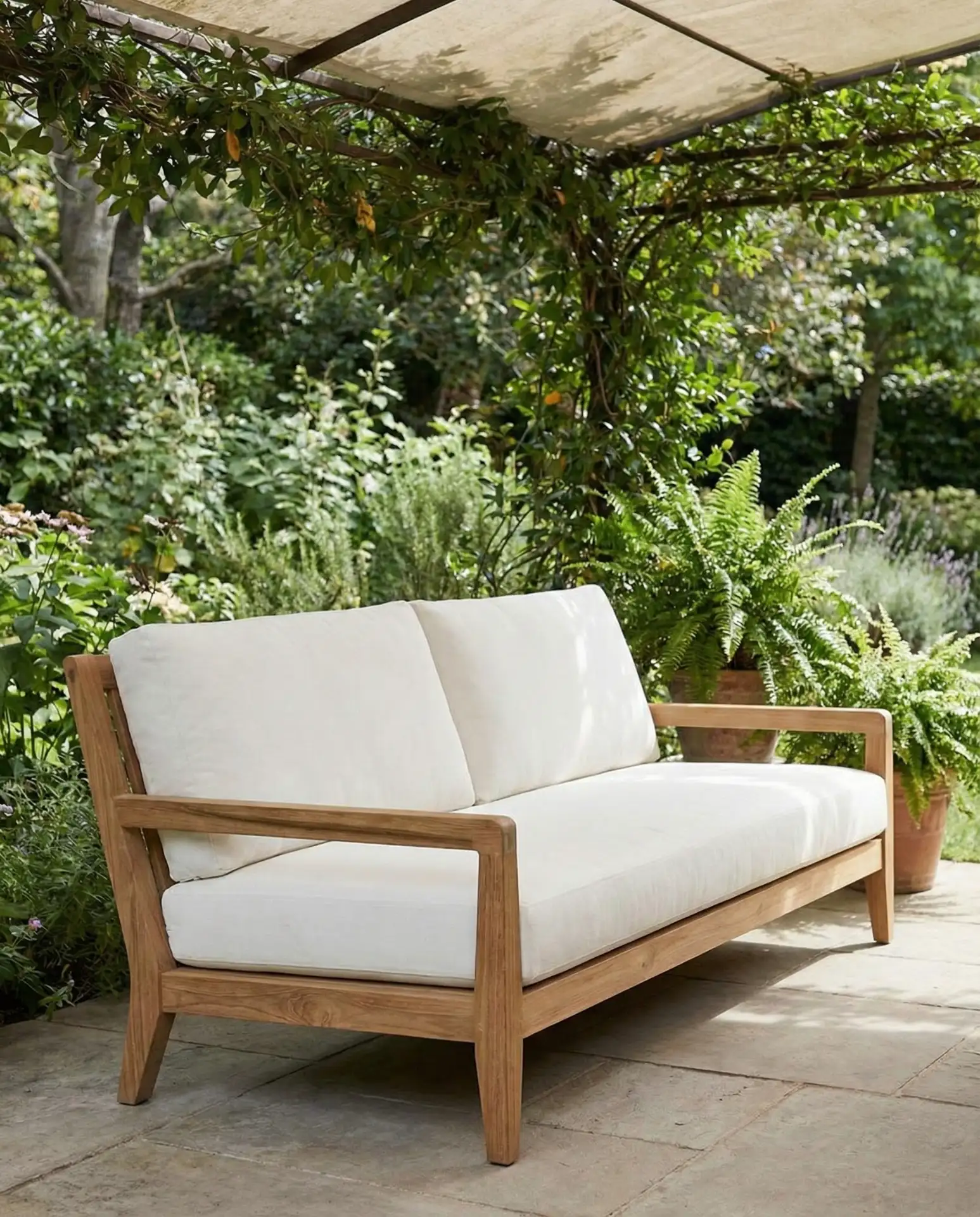 Teak Classic for Longevity 1