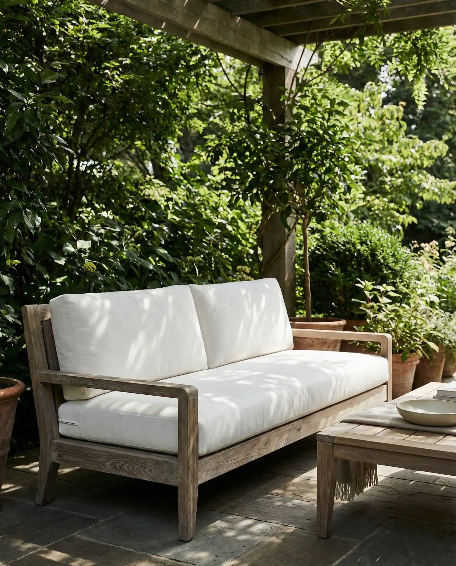 Teak Classic for Longevity 2