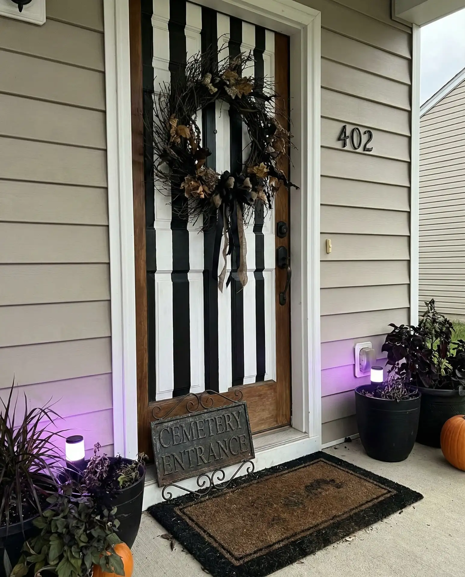 Winter Wonderland Pathway with Birch Logs 2
