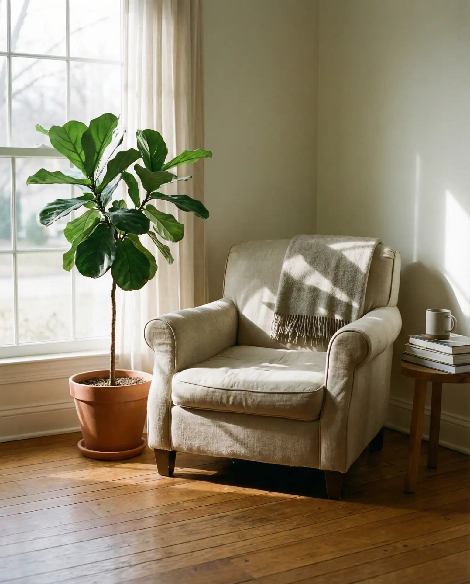 Ankle Circles for Improved Circulation 2