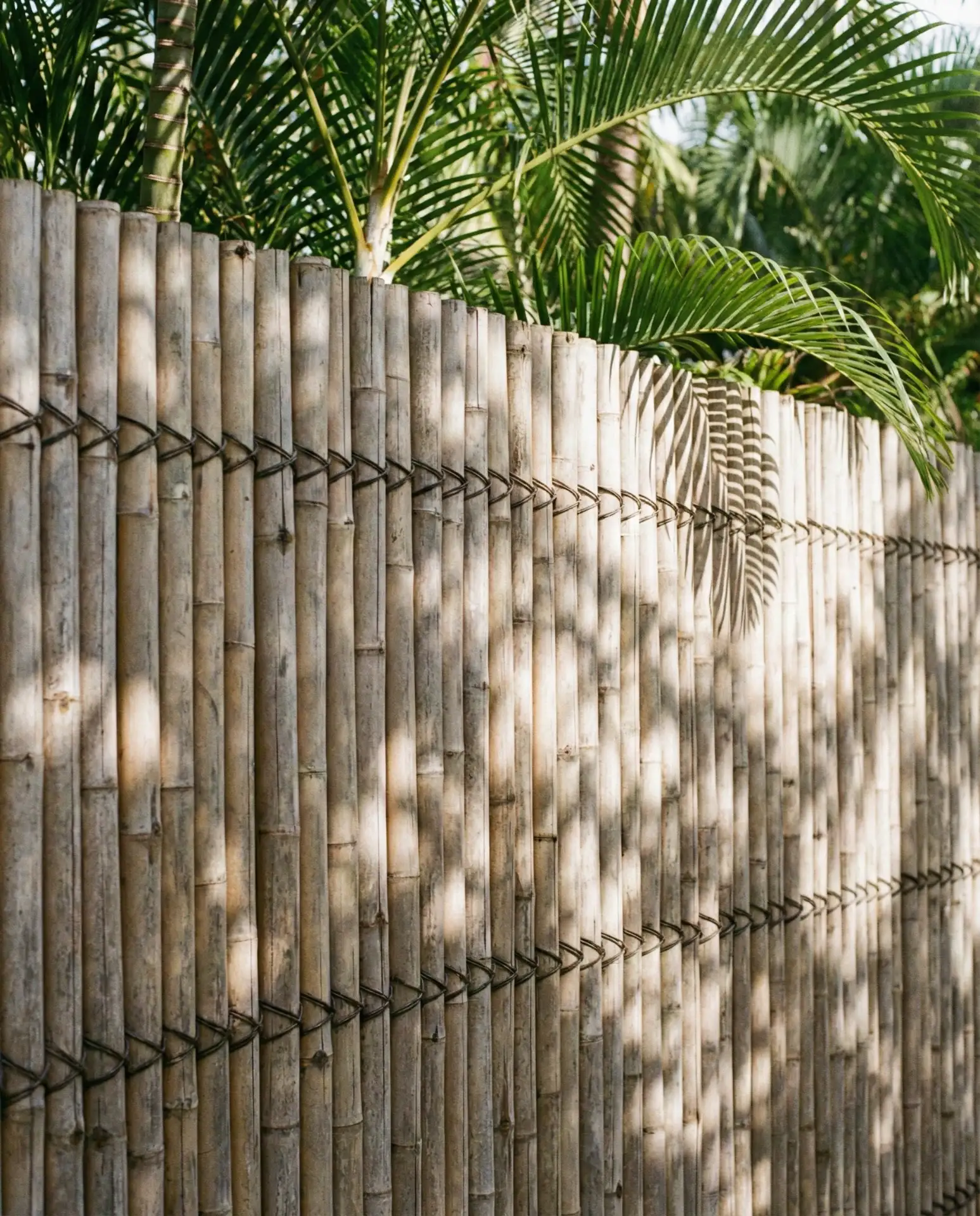 Bamboo Tropical Privacy Screen 2