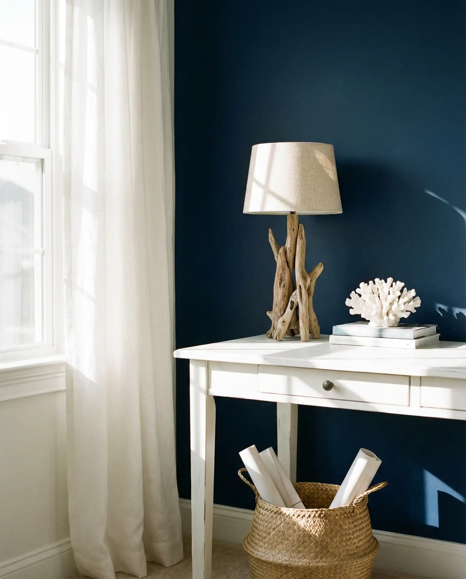 Blue Coastal Calm Office 2