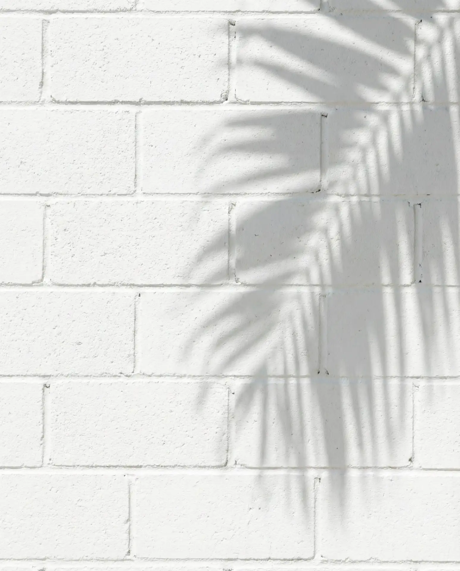Cinder Block Wall Fence with Stacked Bond Pattern 1