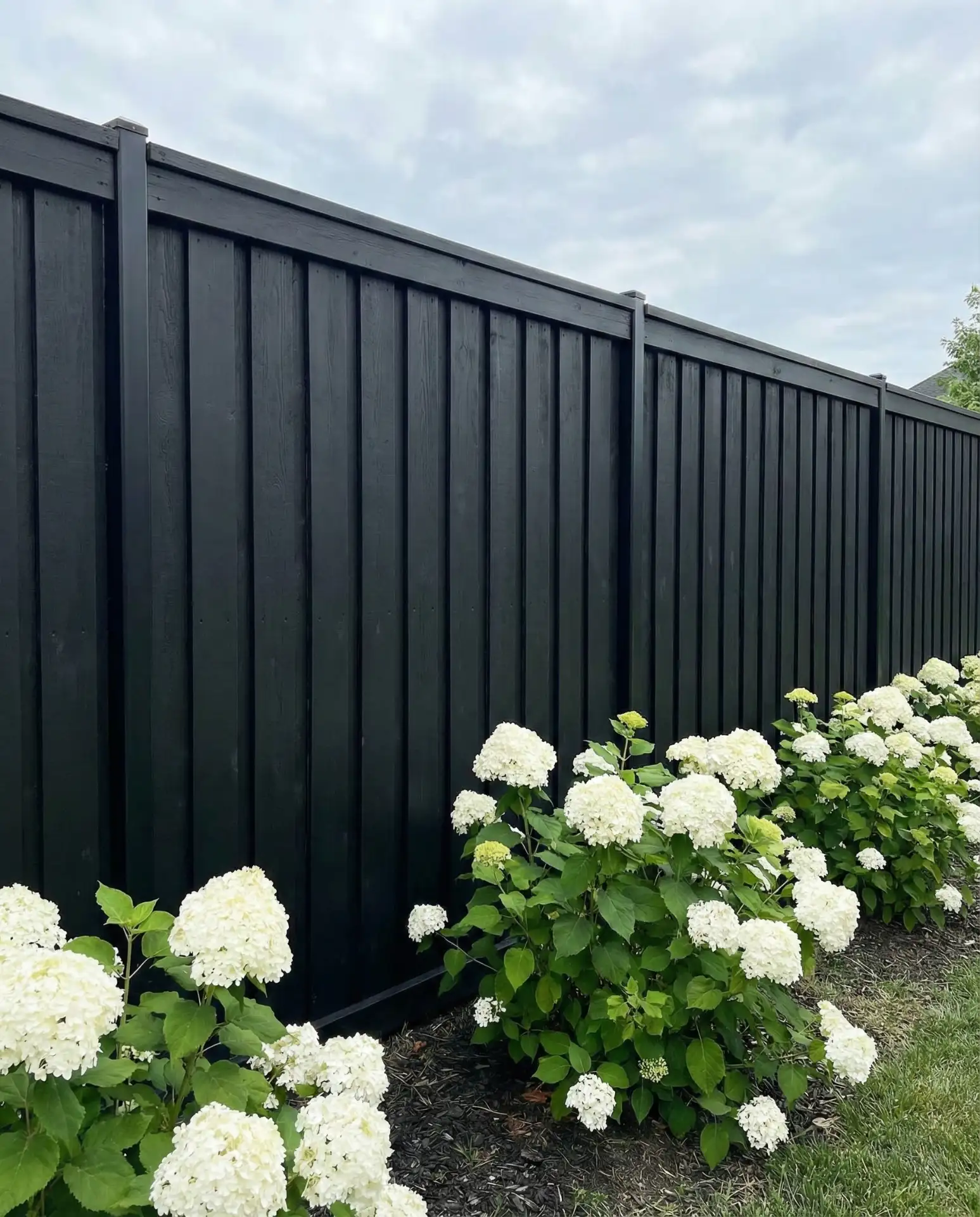 Classic Black Vertical Board Fence 2