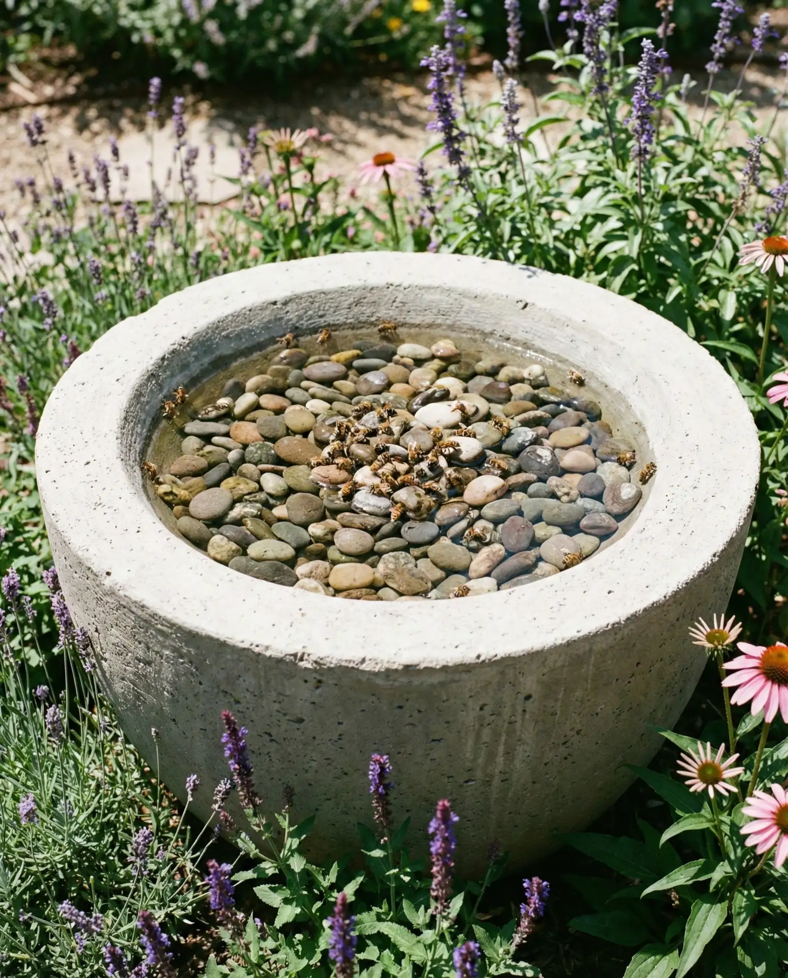 Concrete and Pebble Drinking Fountain for Pollinators 1