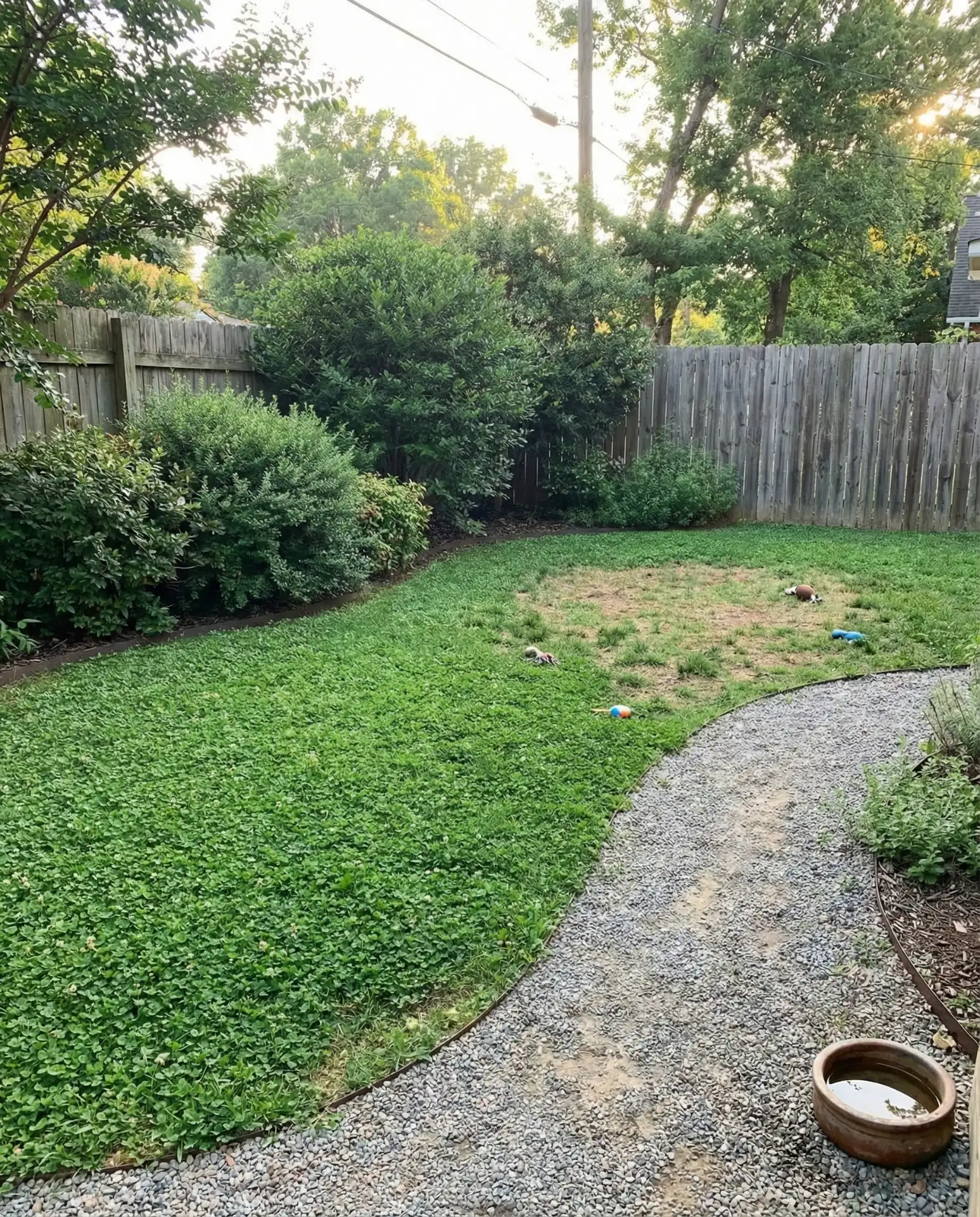 Dog-Friendly Play Yard with Durable Groundcover 1