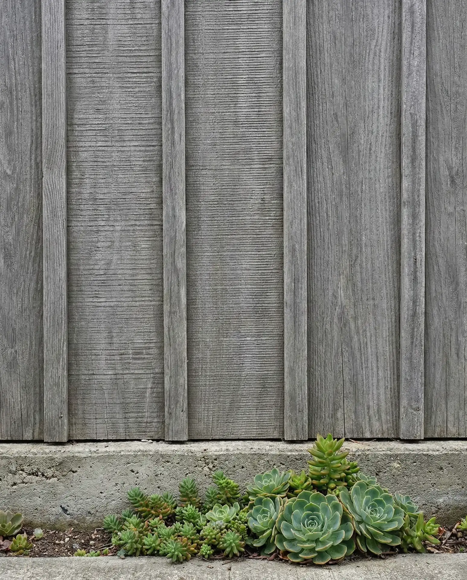 Grey Contemporary Board-and-Batten 2