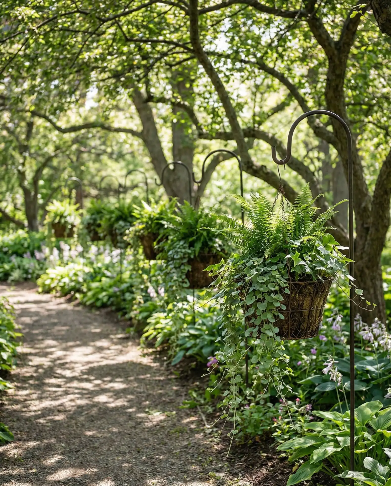 Hanging Planters on Shepherds Hooks 1
