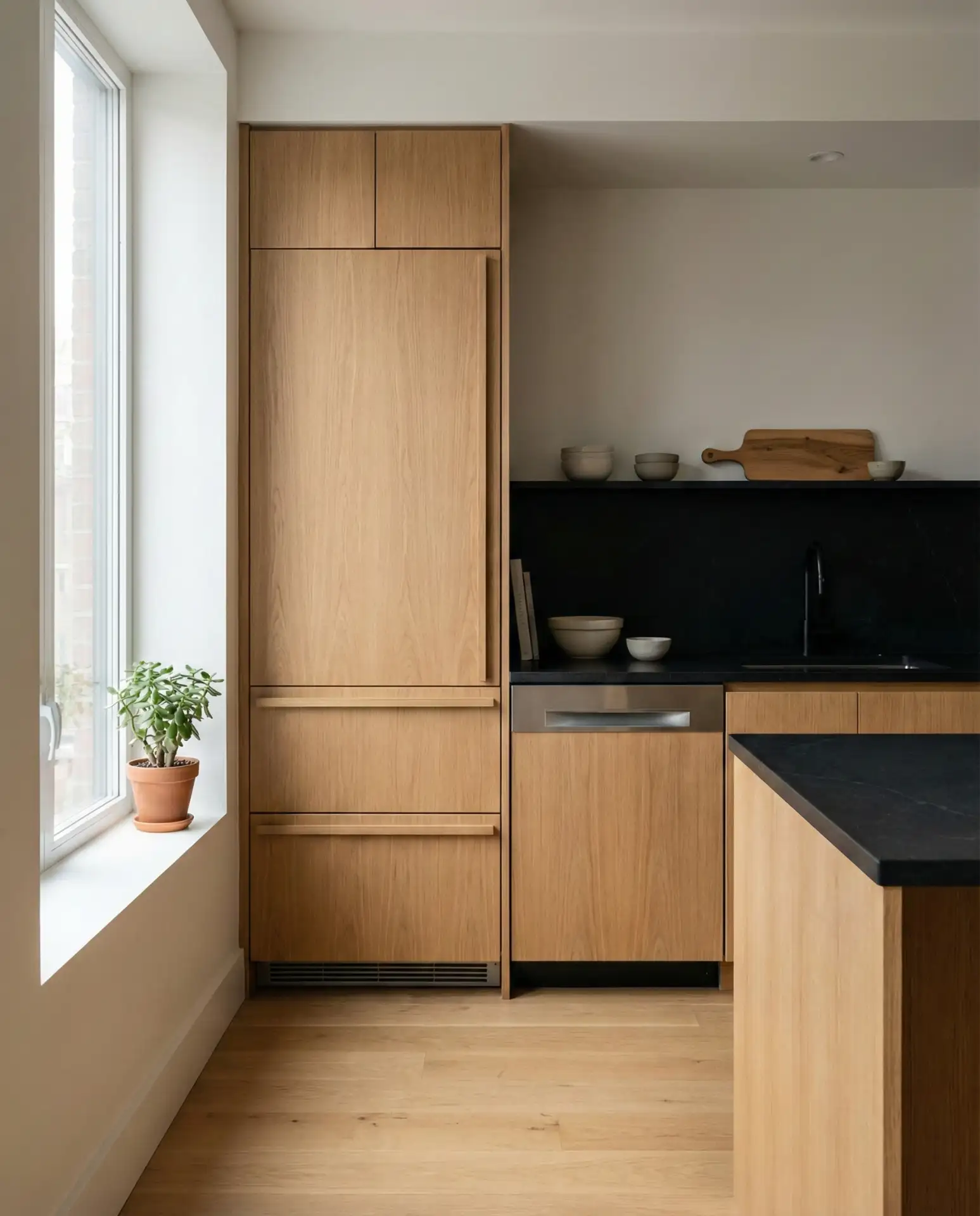 Integrated Appliances 1