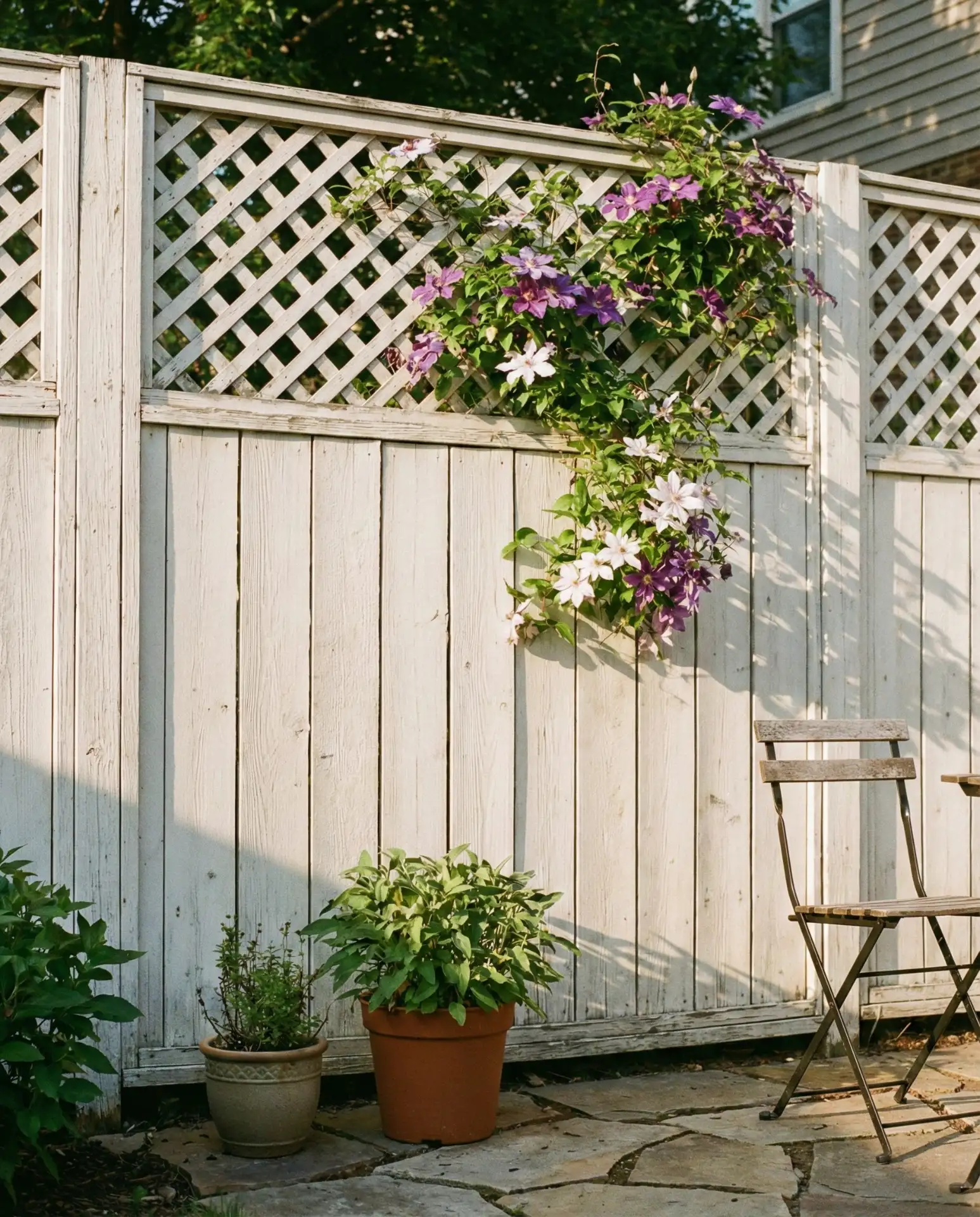 Lattice-Top Privacy Hybrid 2