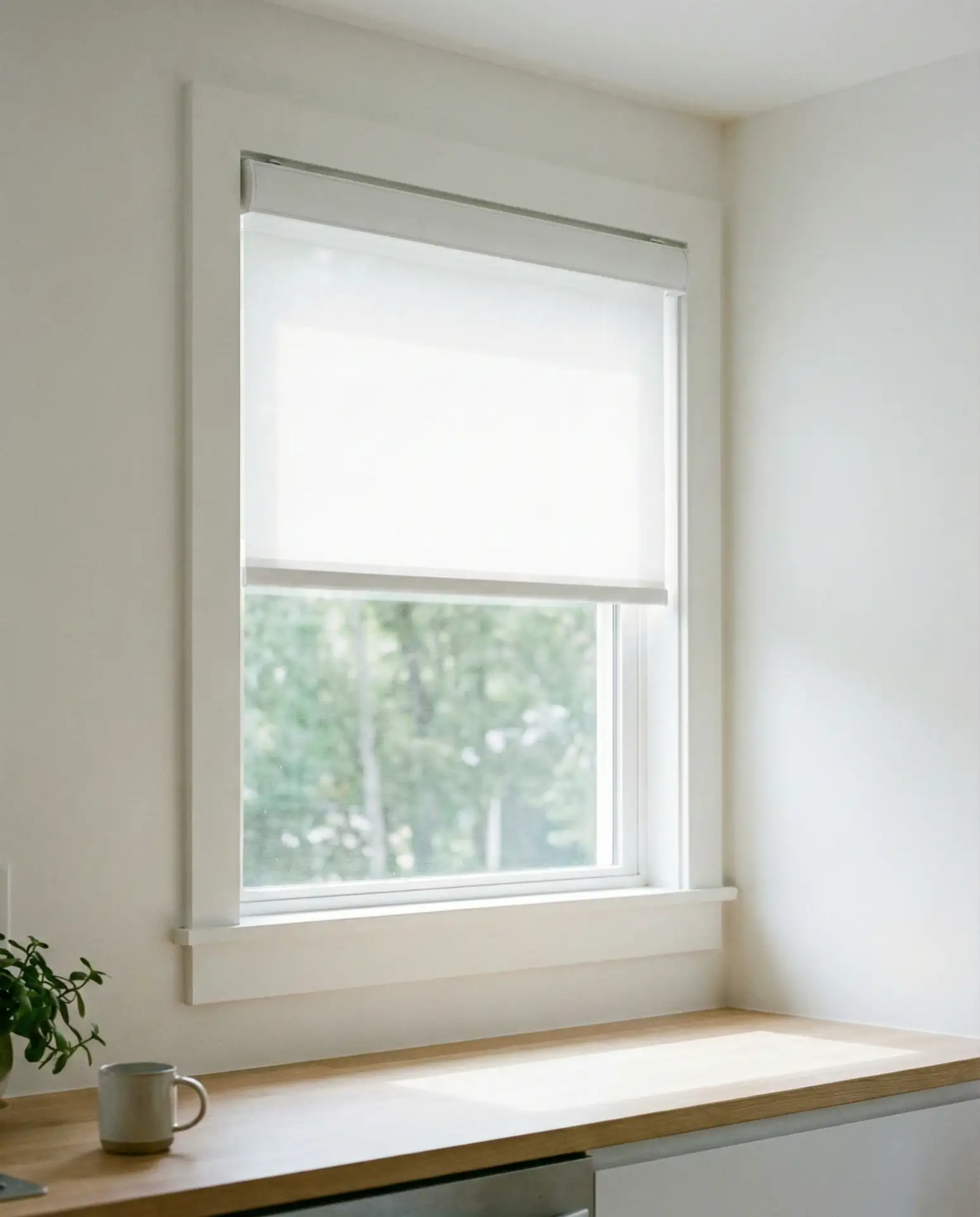 Minimalist Roller Shades in Crisp White 1