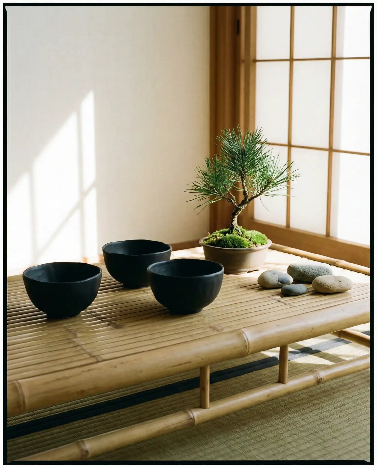 Modern Asian Fusion Zen Buffet 2