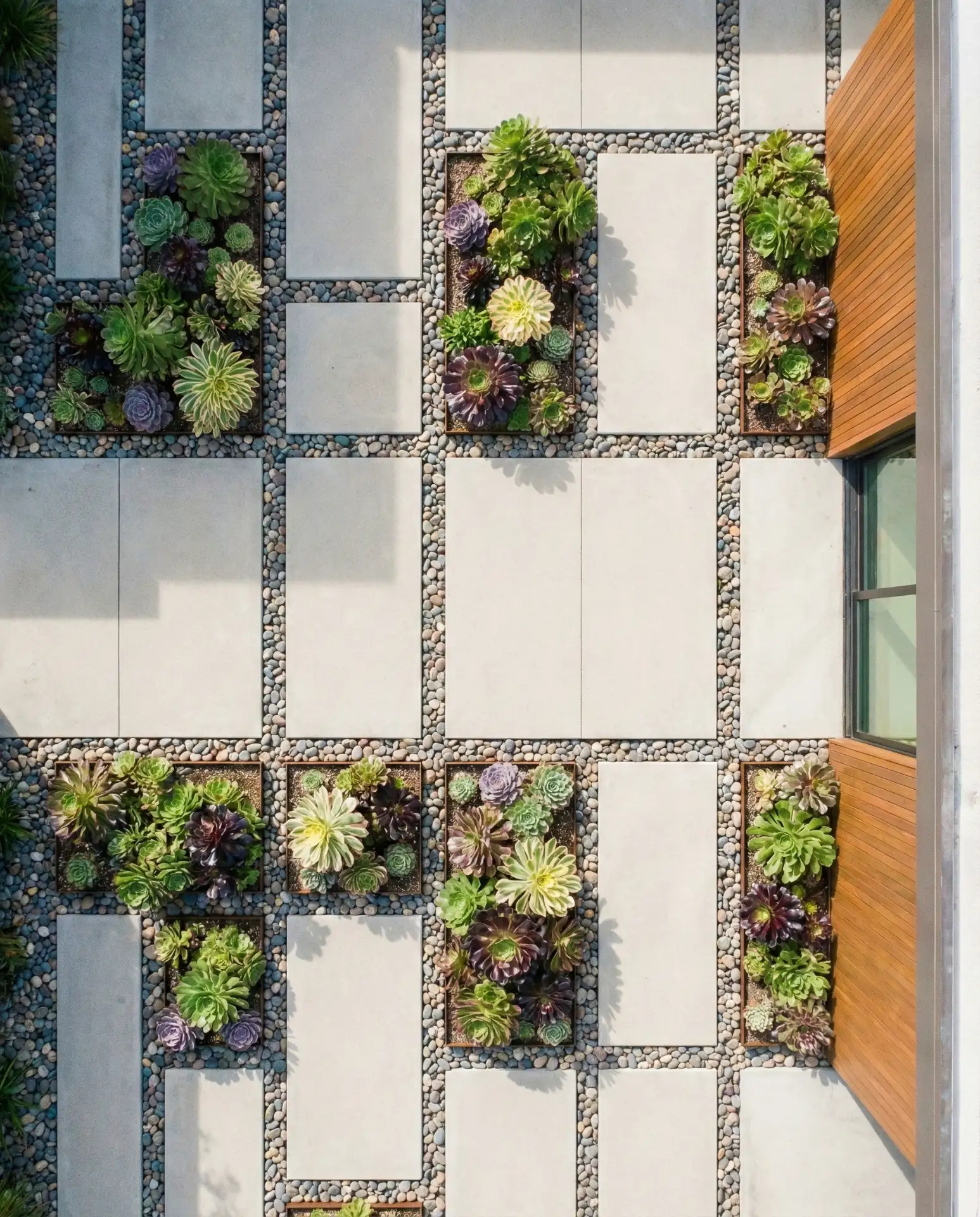 Modern Succulent Grid with Concrete Pavers 1
