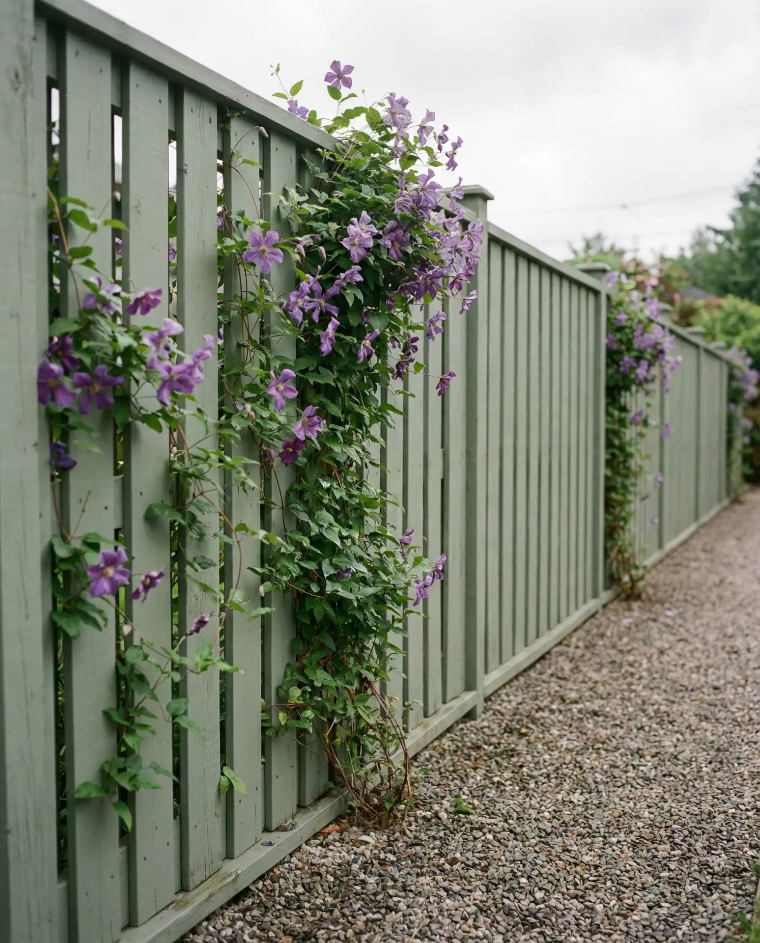 Painted Colorful Statement Fence 1