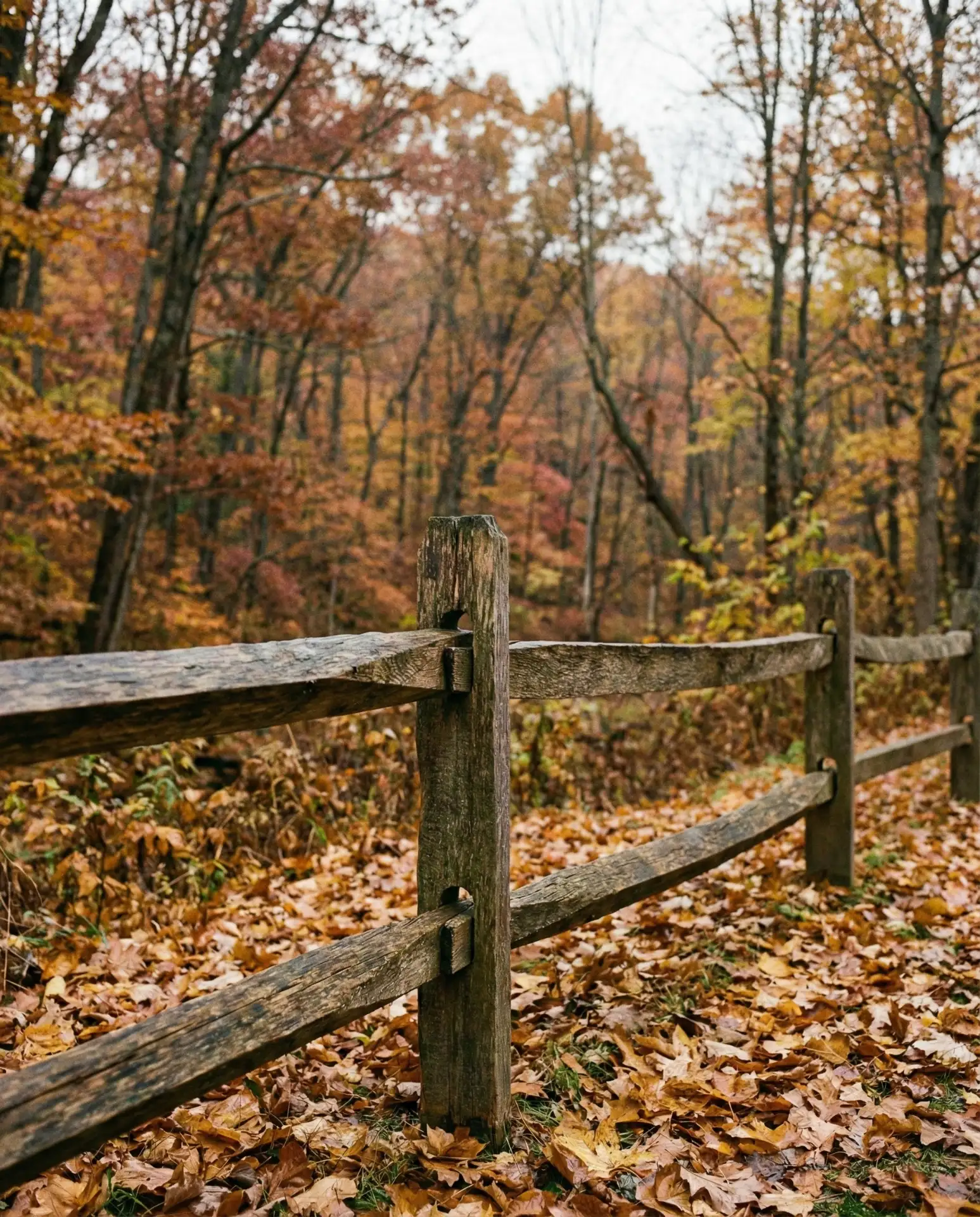 Rustic Split Rail Configuration 2