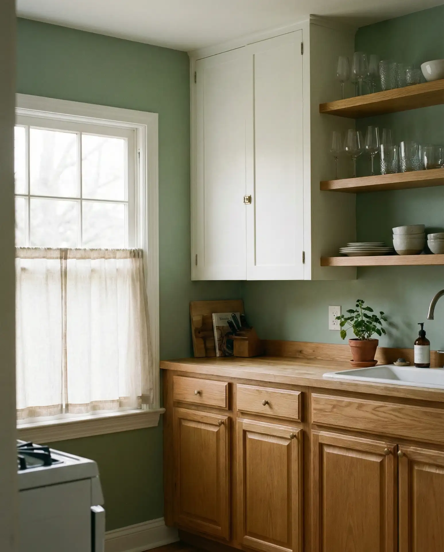 Sage Green Paint on Walls 2