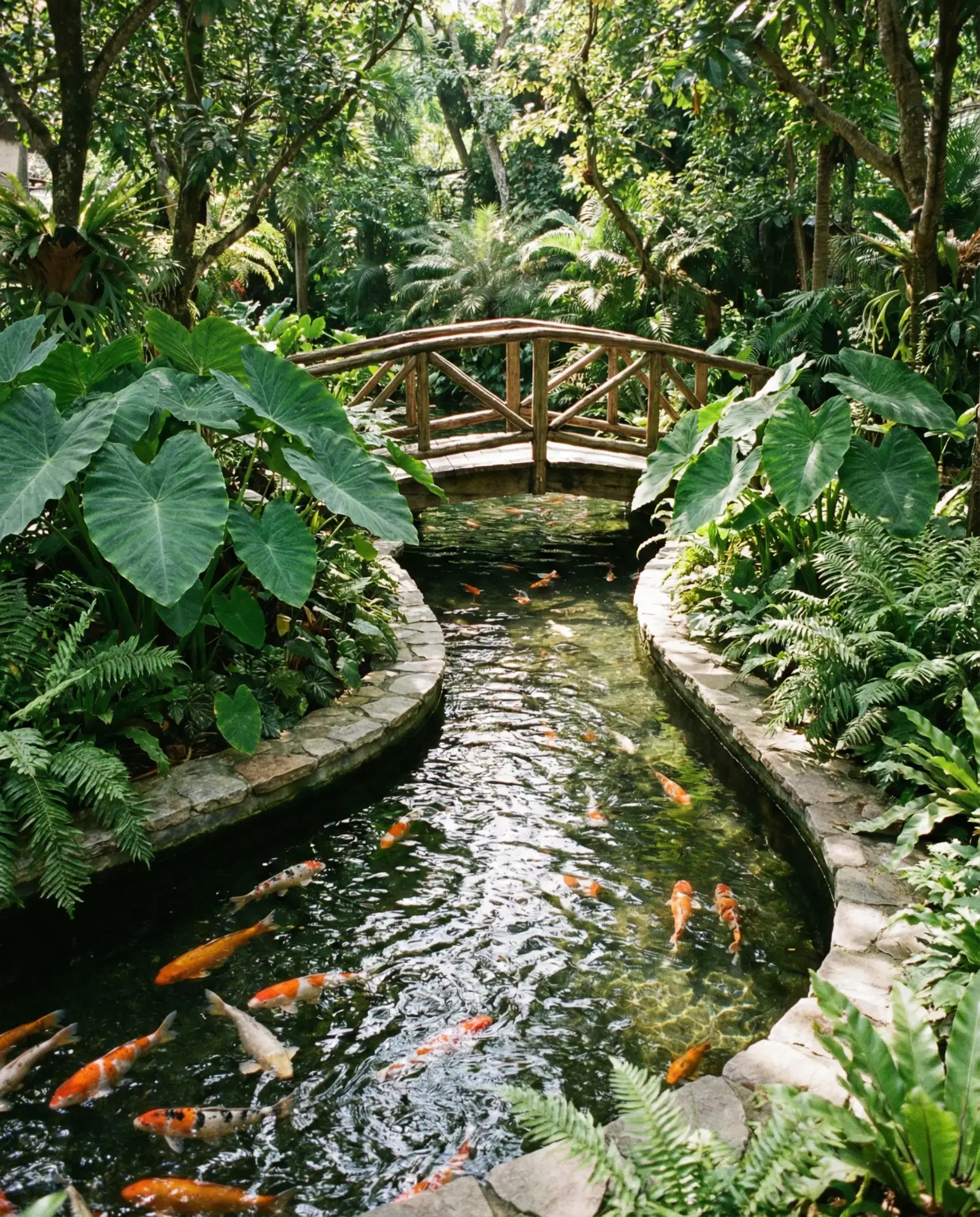 South Florida Tropical Retreat with Koi Pond 2