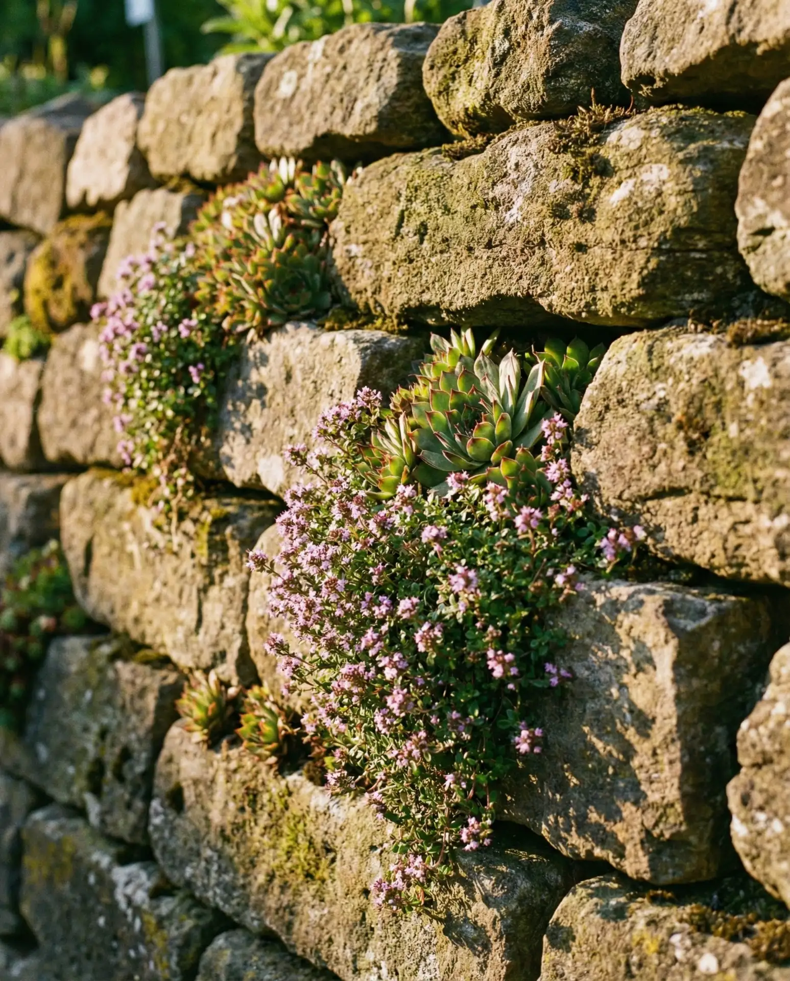 Vertical Rock Garden Wall Feature 1