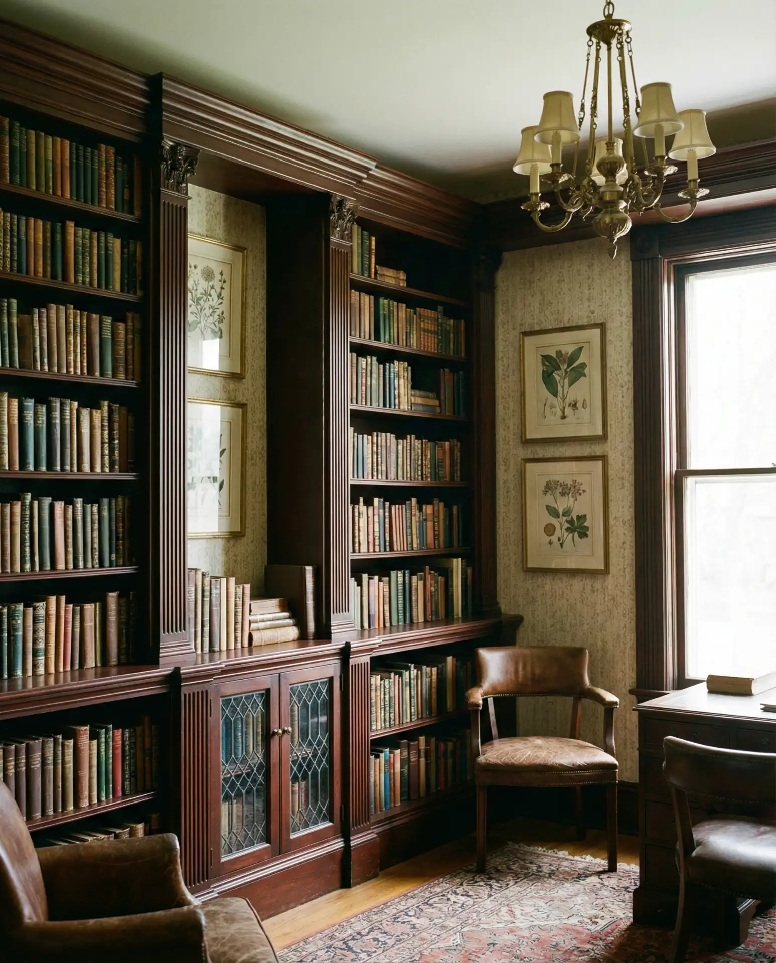 Vintage Library with Ornate Details 1
