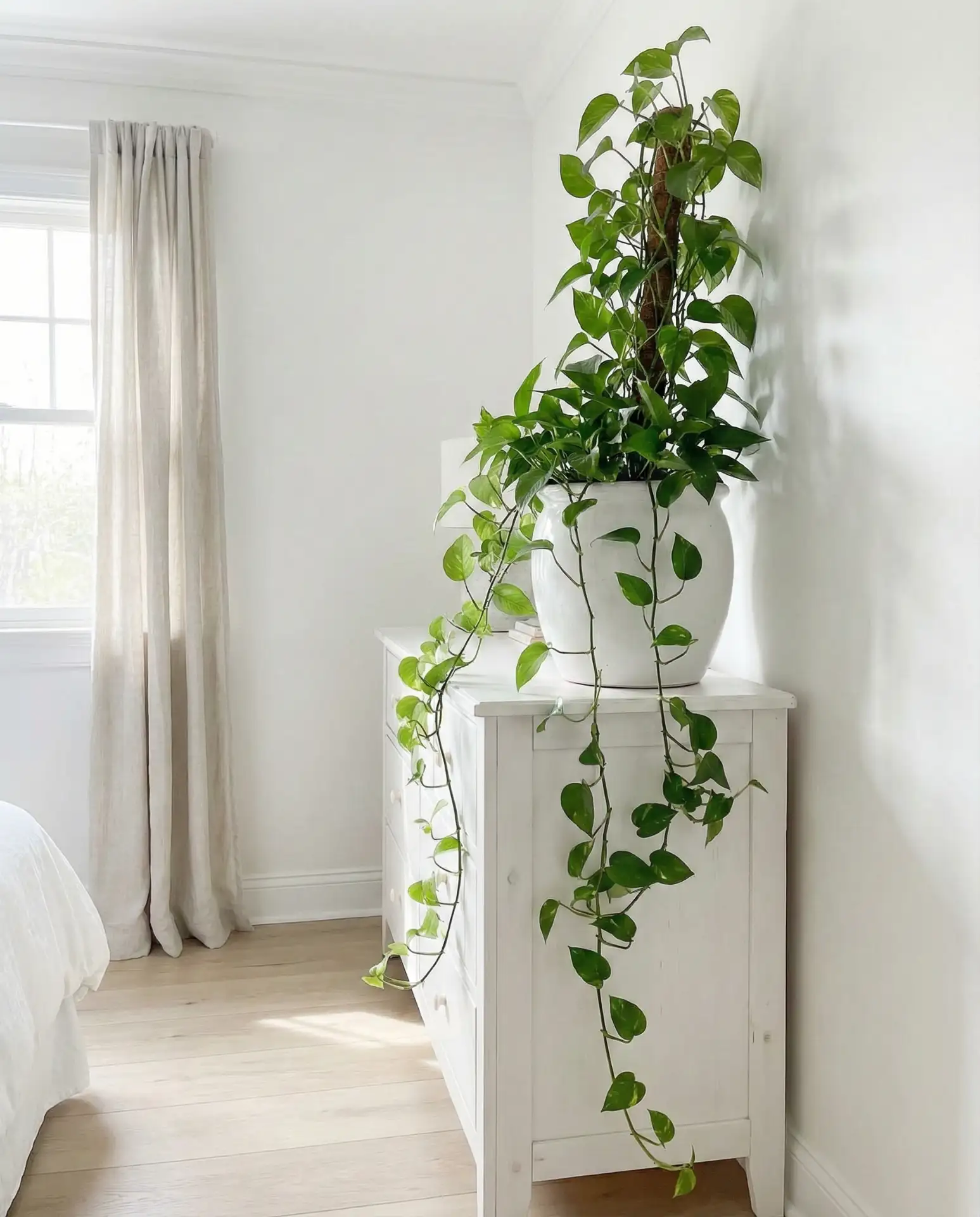 White Bedroom with Green Plant Accents 1