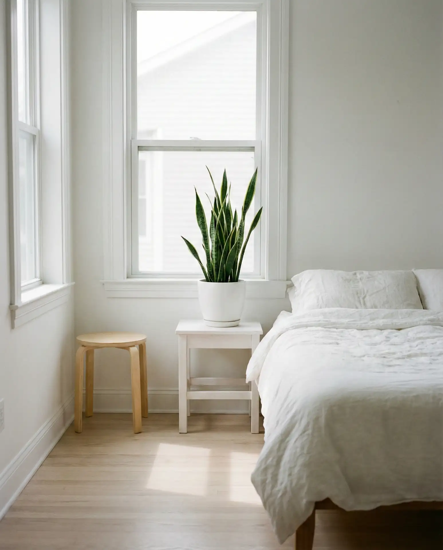 White Bedroom with Green Plant Accents 2