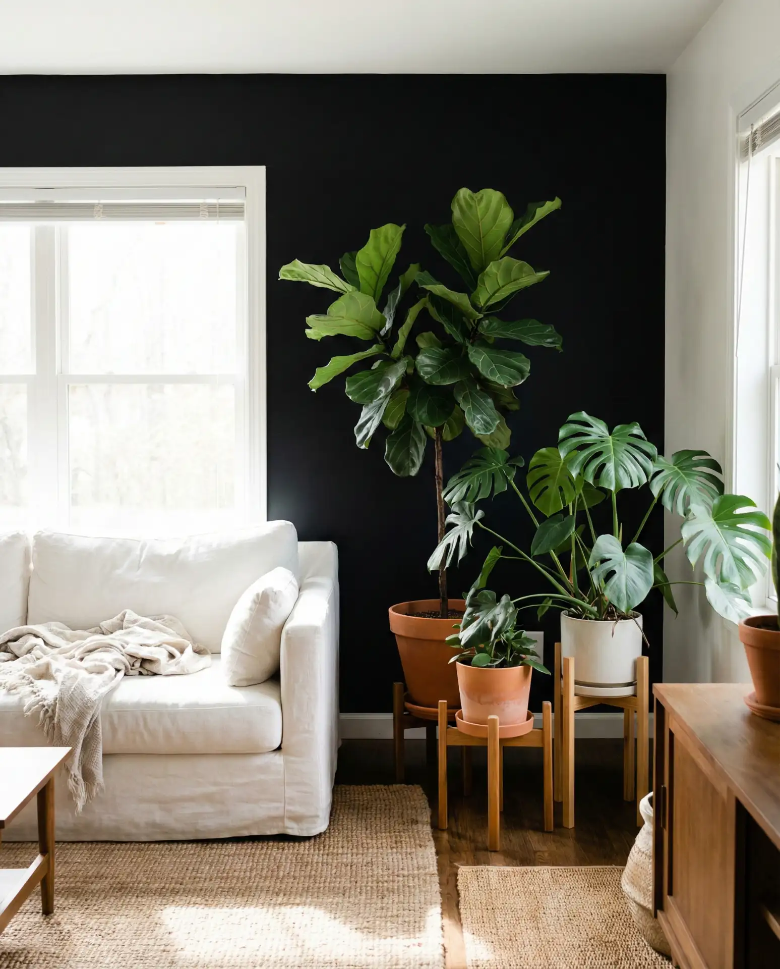 Black Accent Wall with Natural Light and Greenery 1