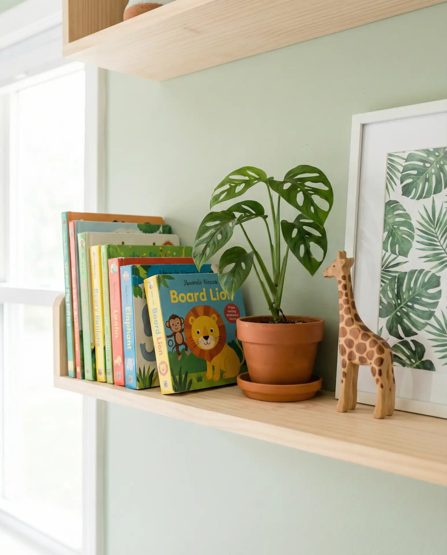 Jungle Canopy Exploration 1