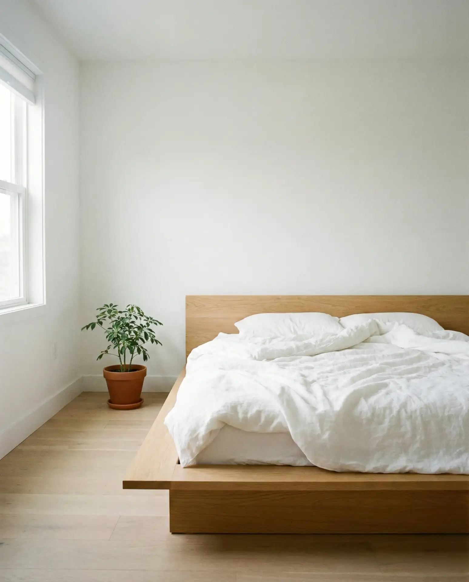 Low-Profile Bed Frames 1