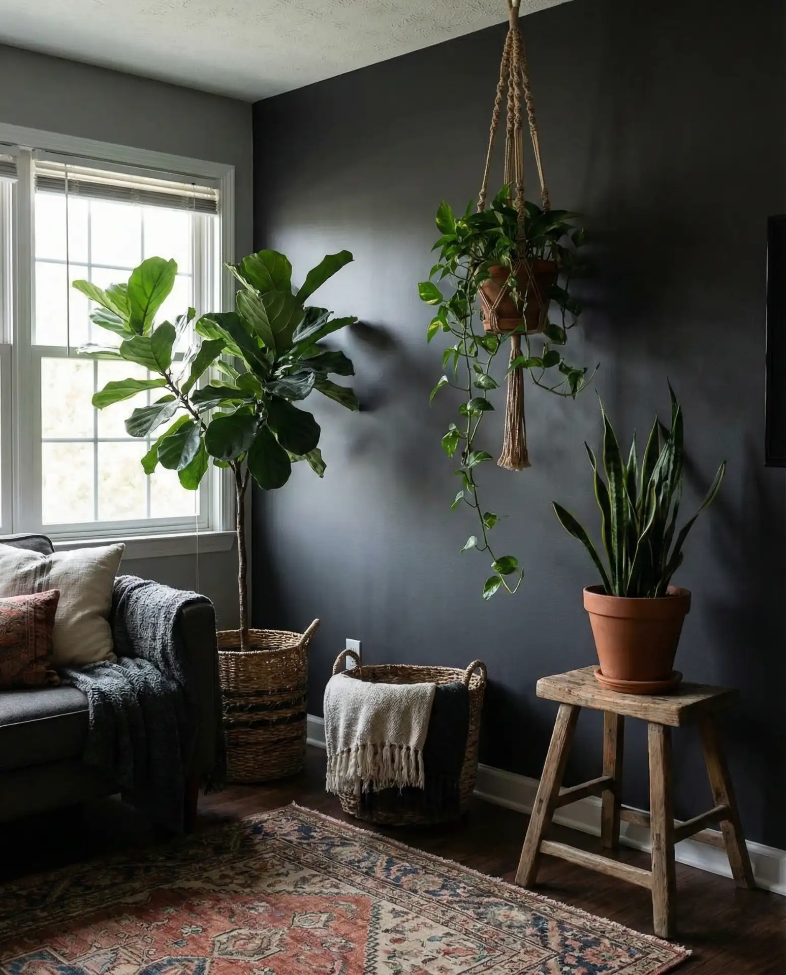 Lush Indoor Plants in Every Corner 1