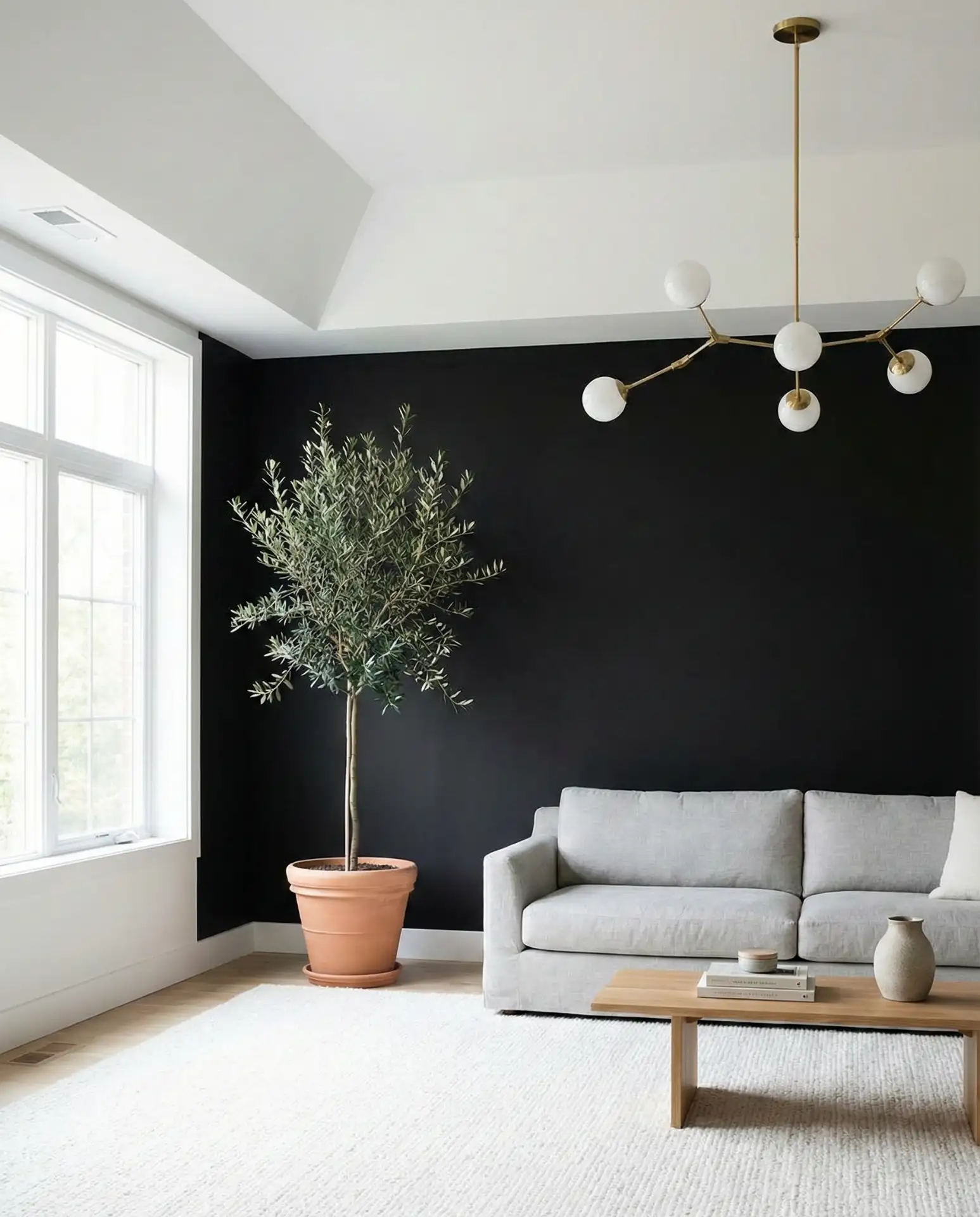 Matte Black Wall with High Ceilings 2