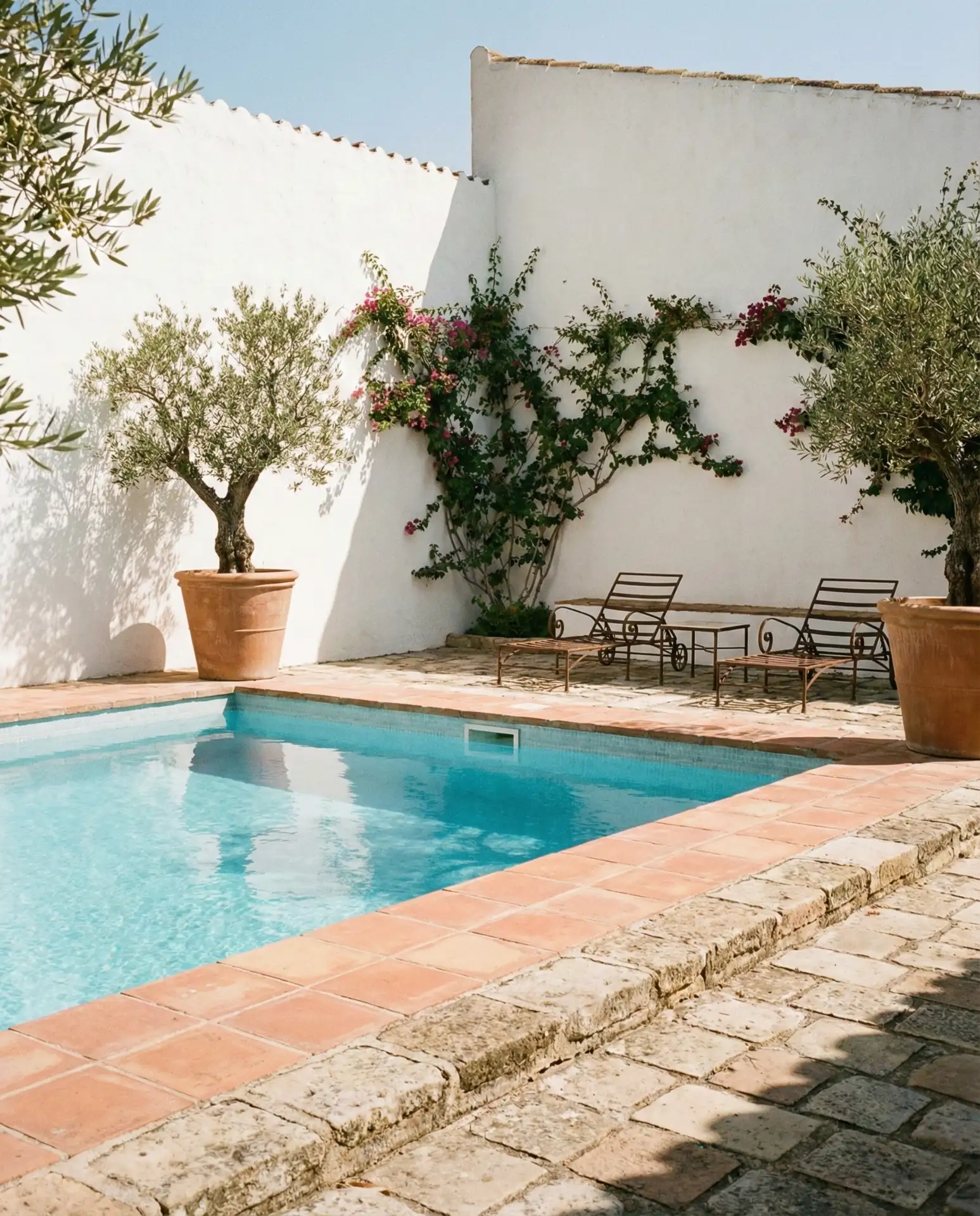 Mediterranean-Style Pool with Terra-Cotta Tile 2
