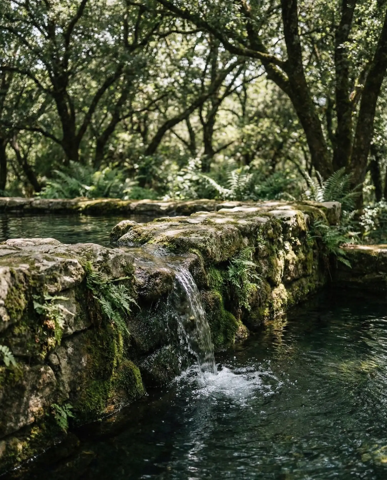 Natural Rock Lagoon Pool with Waterfall Feature 2