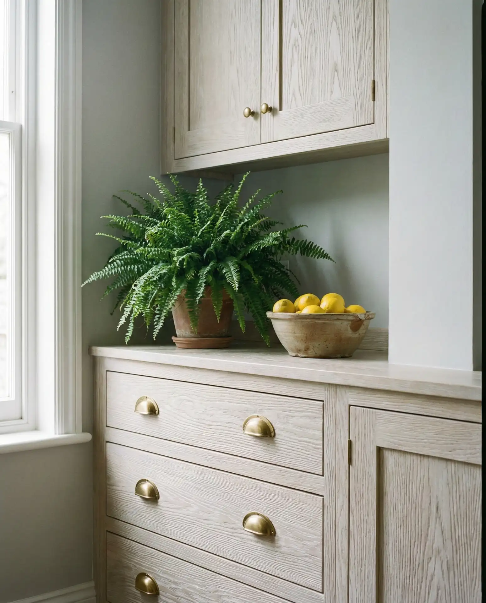 Painted White Oak with Visible Grain 2