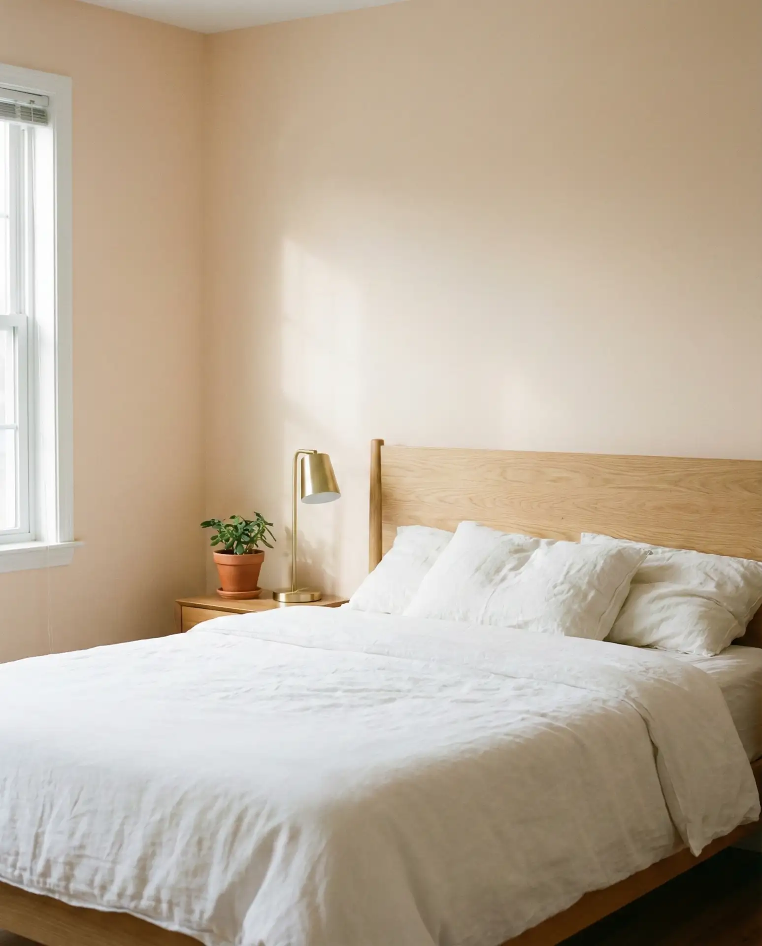 Pale Peach for Gentle Warmth 1