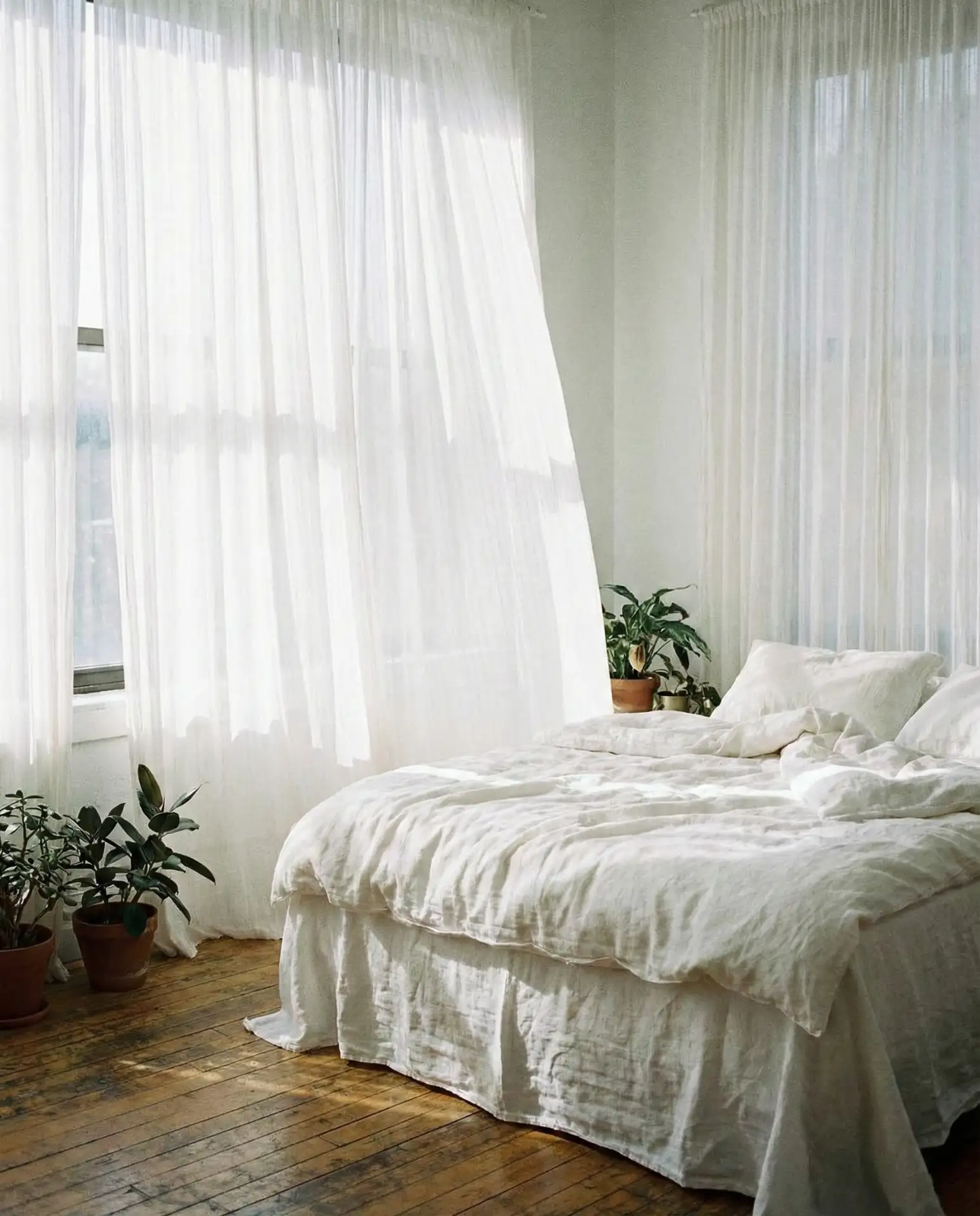 Soft Sheer Curtains for Diffused Light 1