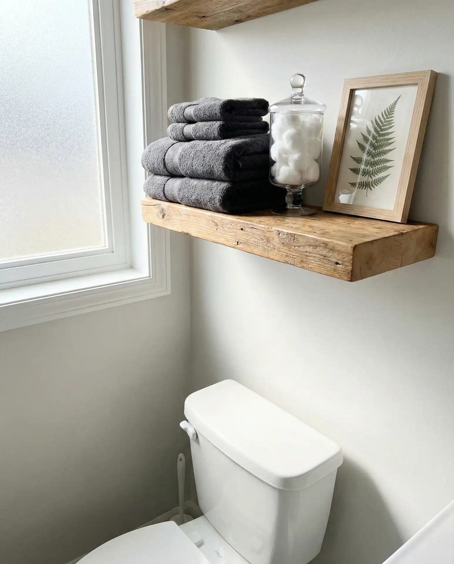 Toilet Shelf Organization 2